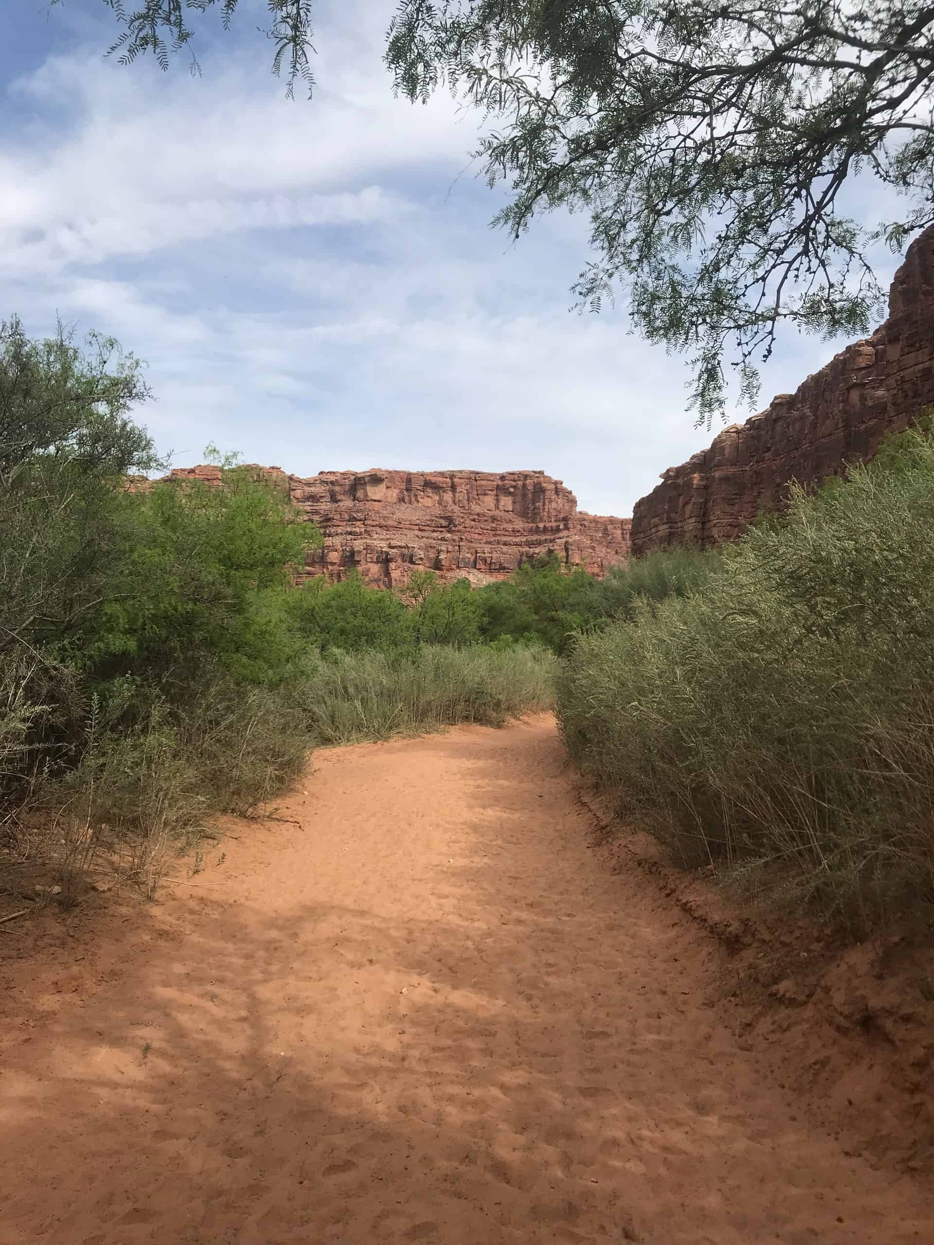 The Havasupai Trail, one of the best hiking trails in the United States (photo: Loren Isaac).