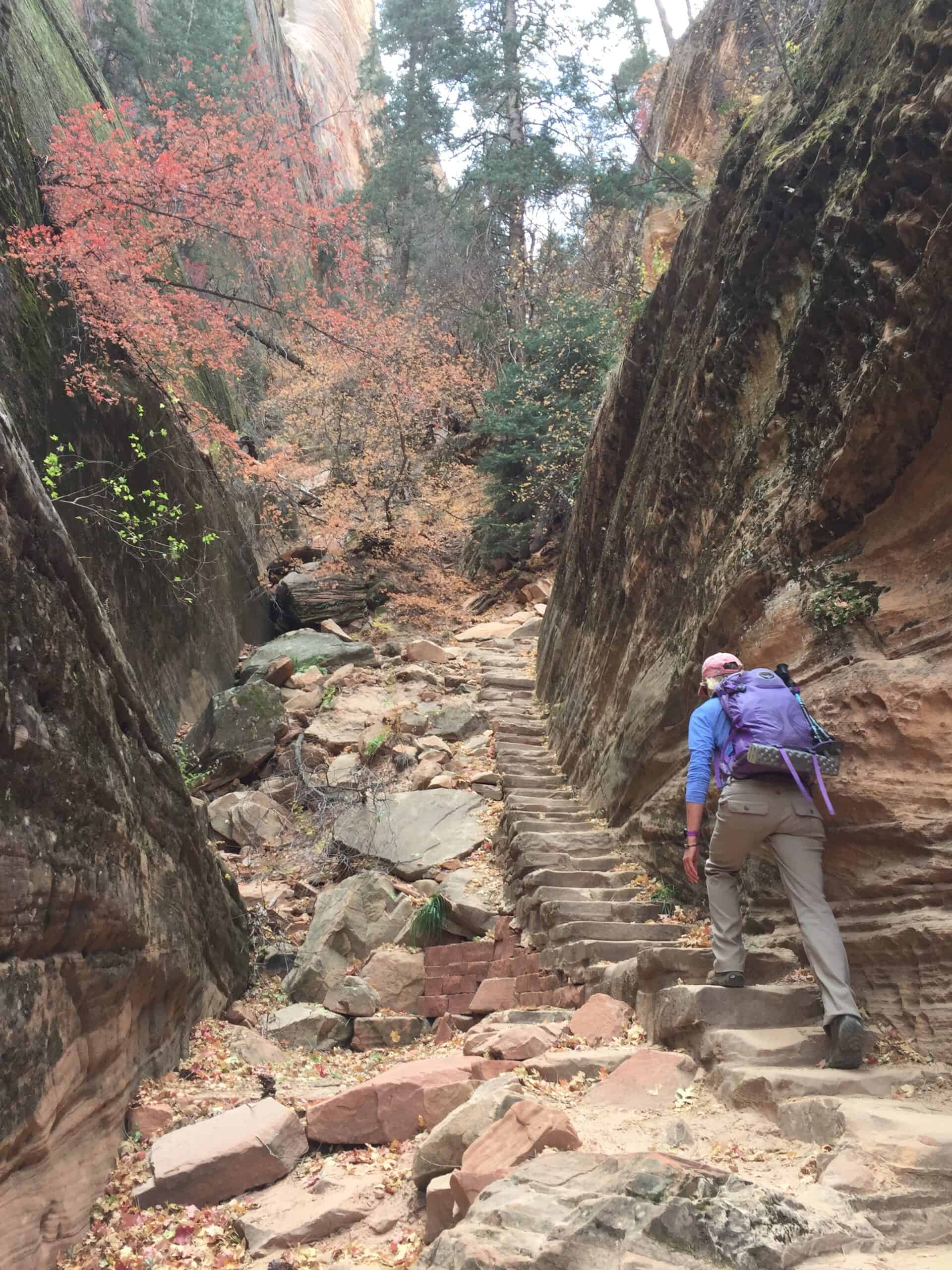Climbing stone stairs in Zion National Park.