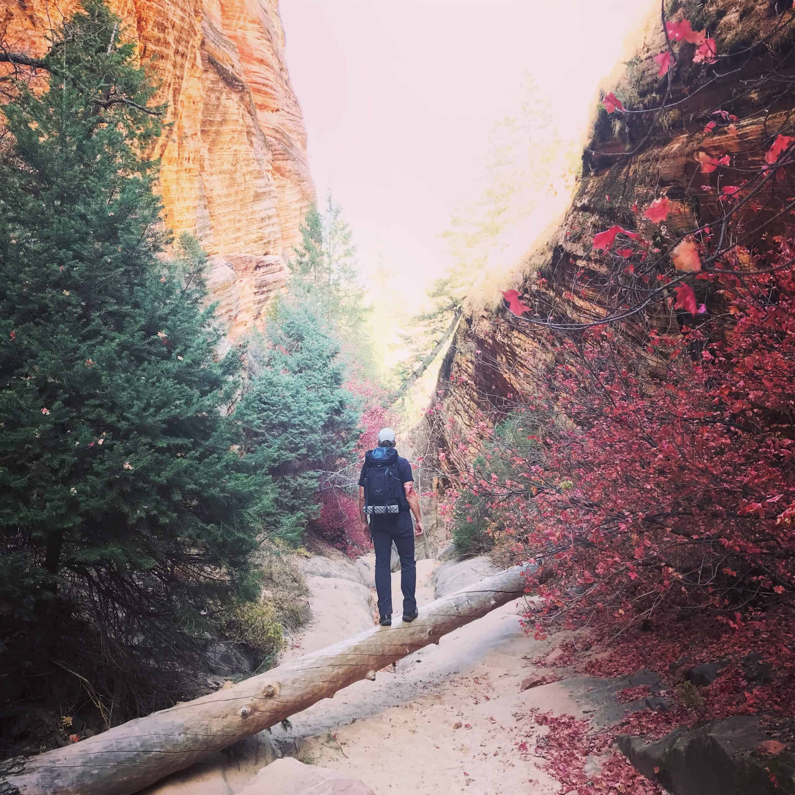 Fall colors on Hidden Canyon Trail.