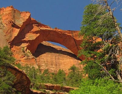 Kolob Arch