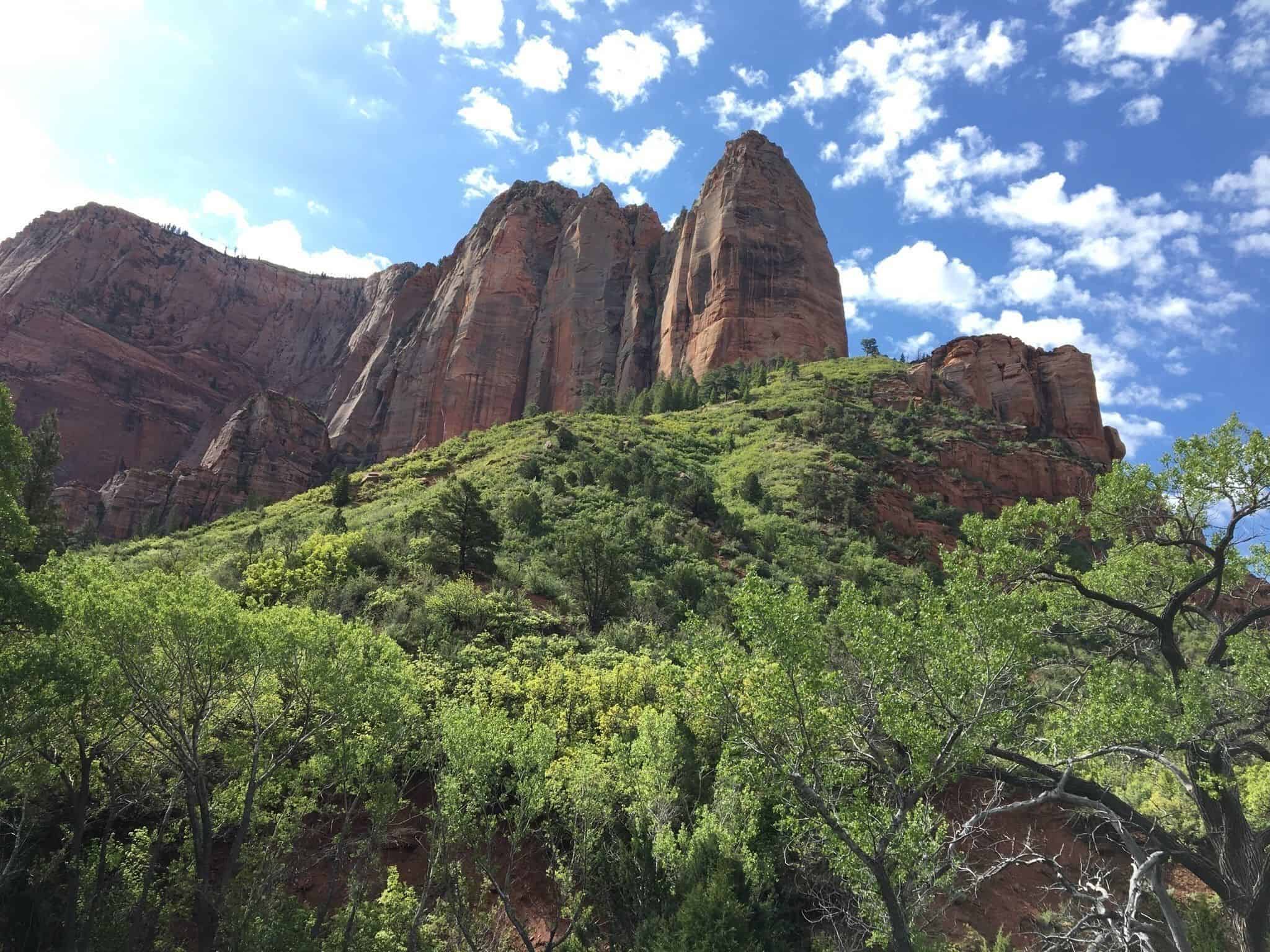 Soaring spires as seen hiking in Zion National Park.