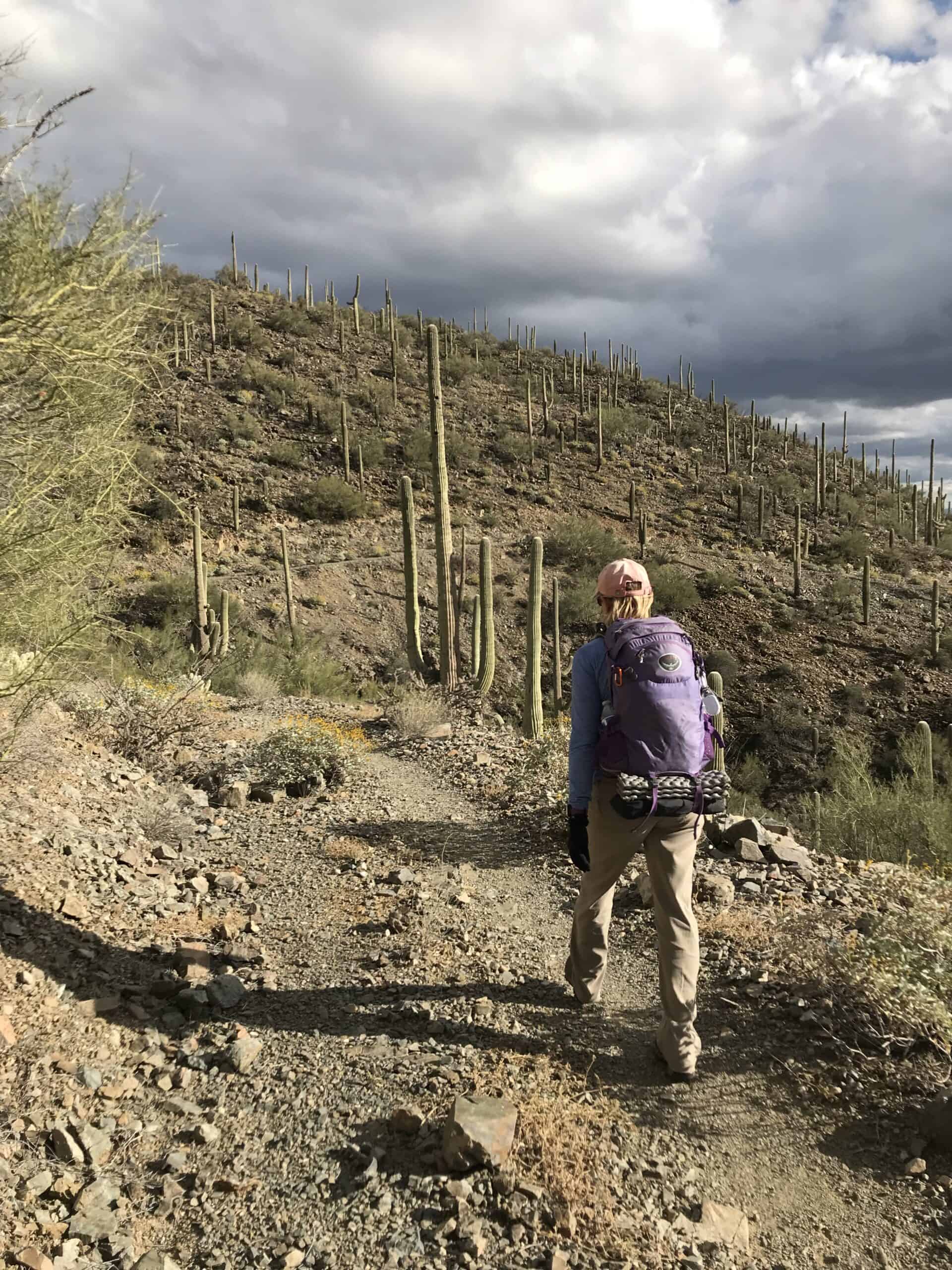 Trying to beat the rain on the hike down from the mountains.