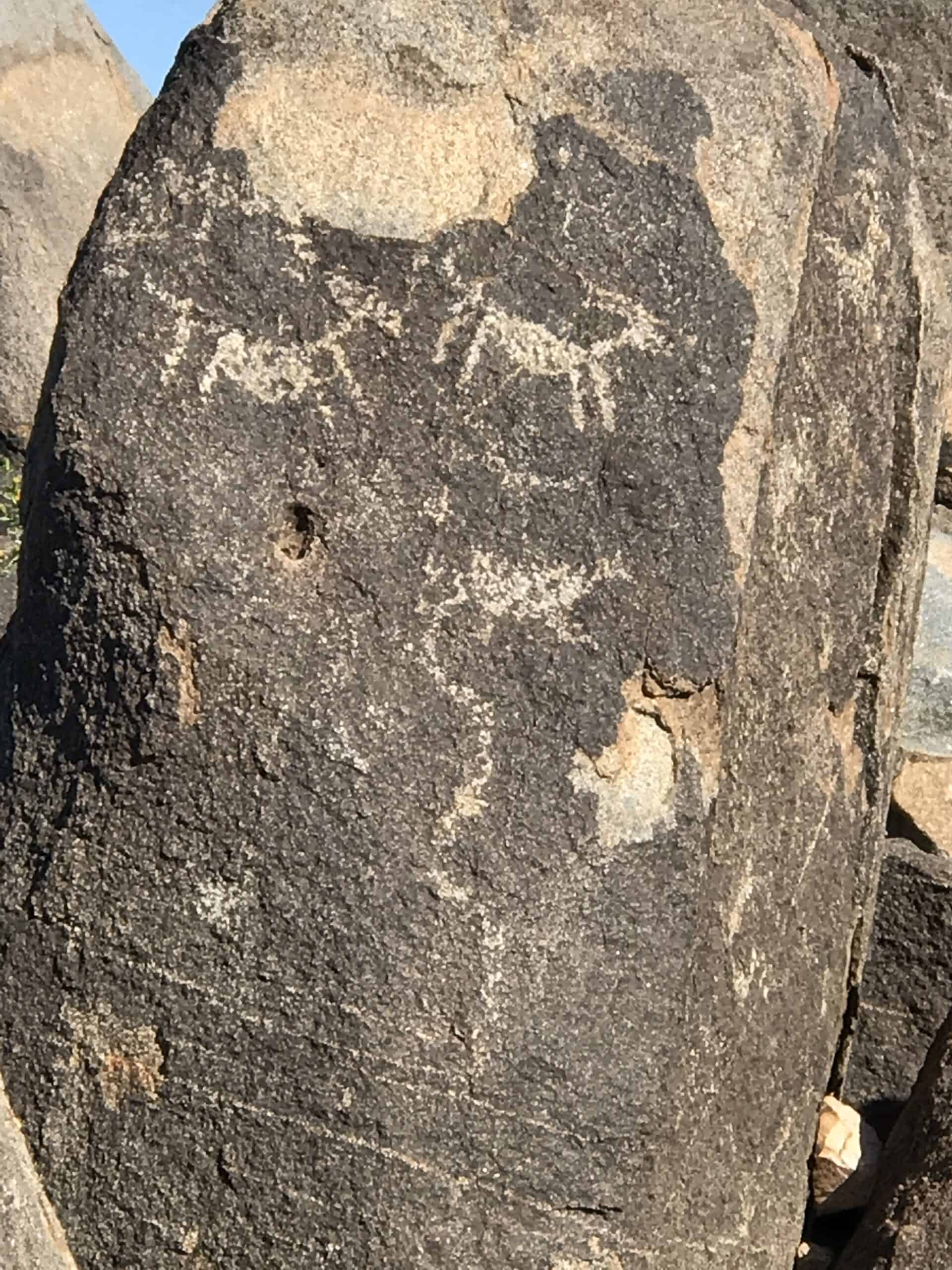 Petroglyphs in Saguaro National Park