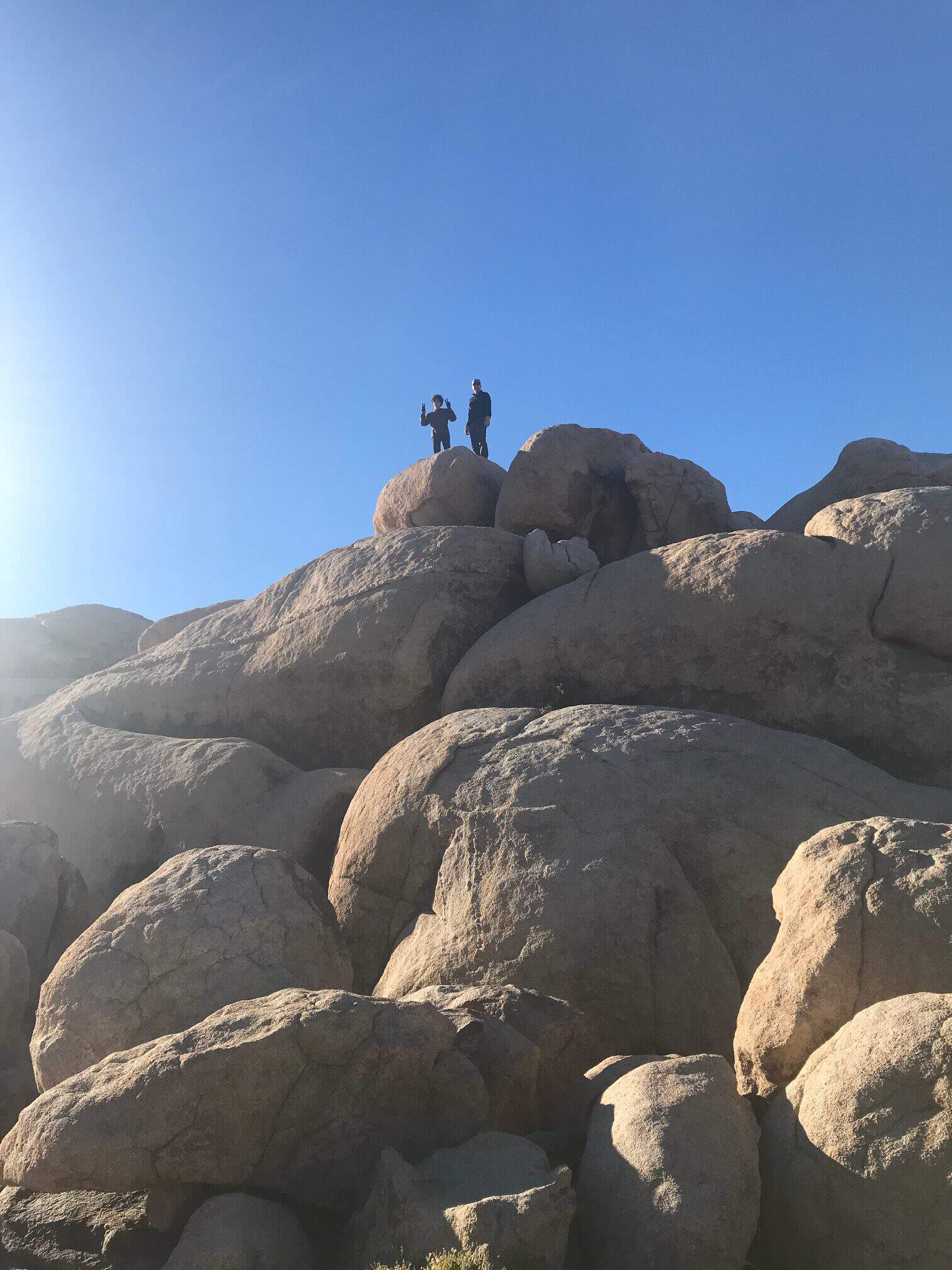 Sunrise hike in Joshua Tree National Park