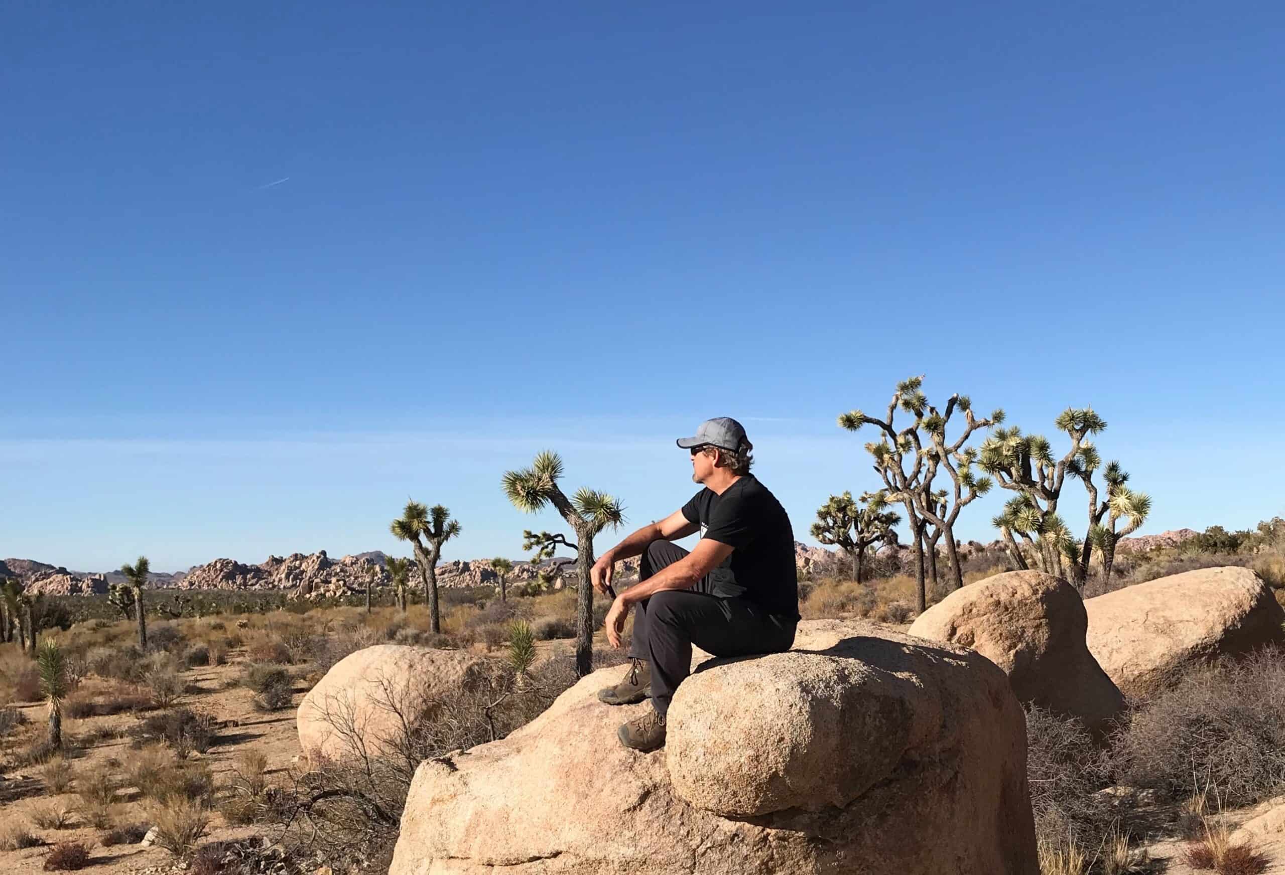 Taking in the views