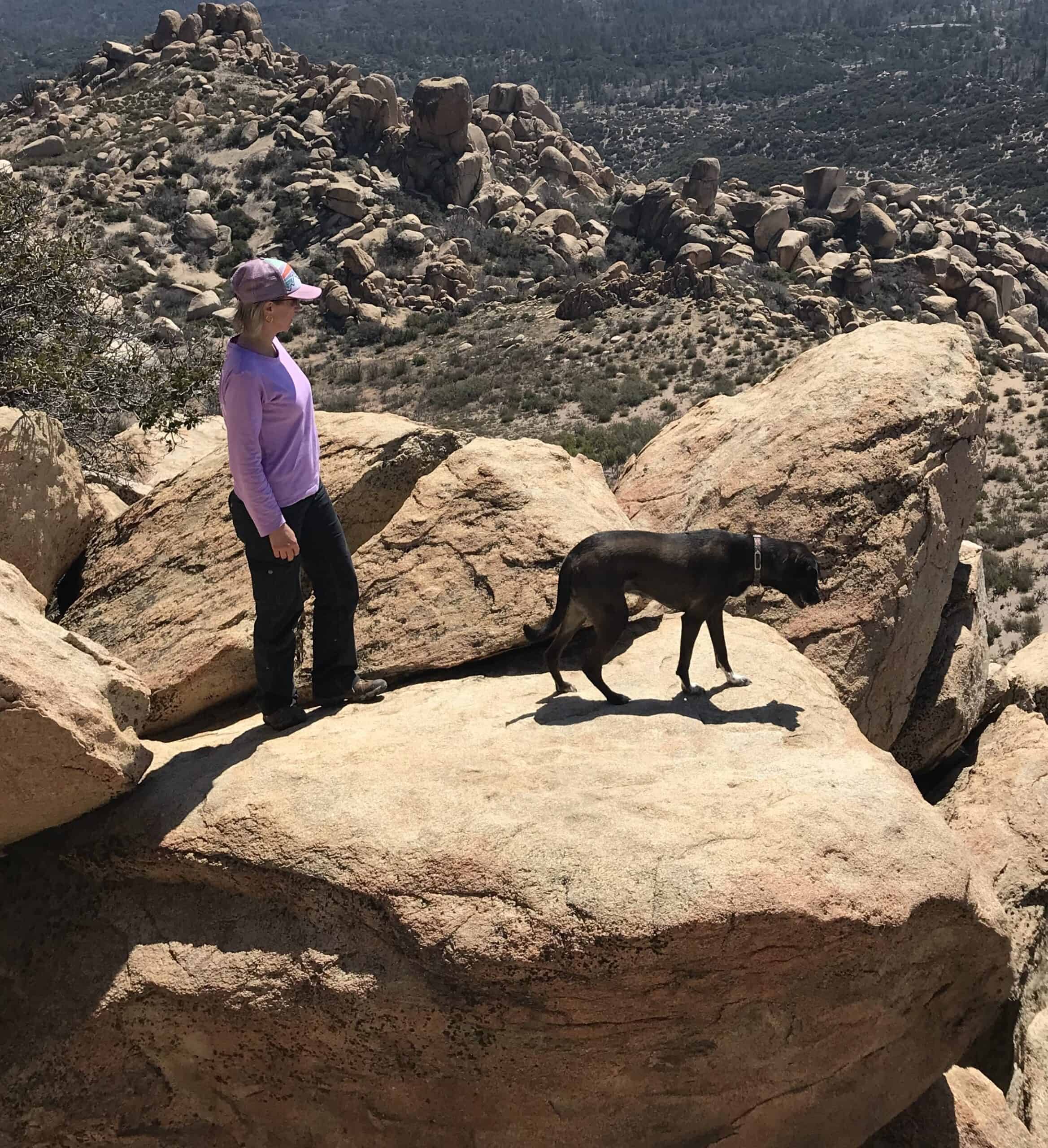 Even dogs love Joshua Tree National Park