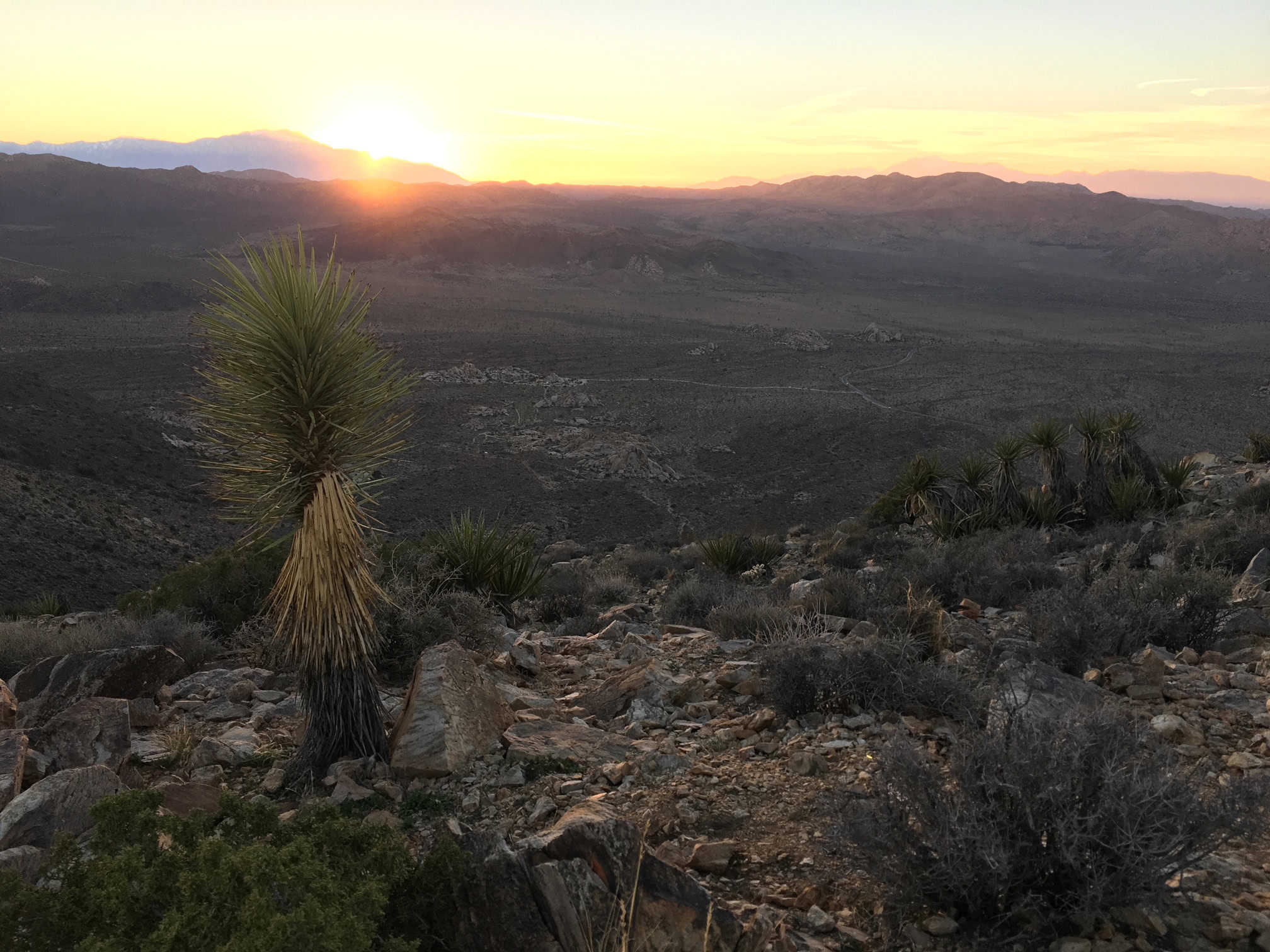 Sunset Hikes on Ryan Mountain