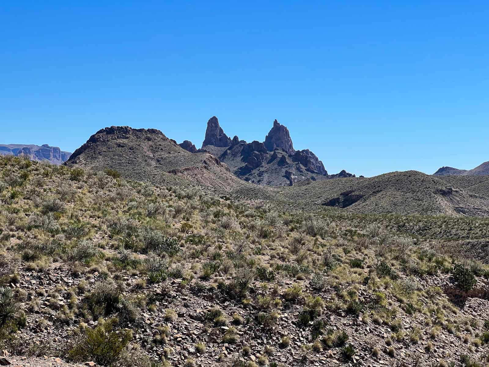 Mule Ears, a geographic feature as seen from the Ross Maxwell Scenic Drive in Big Bend National Park, TX