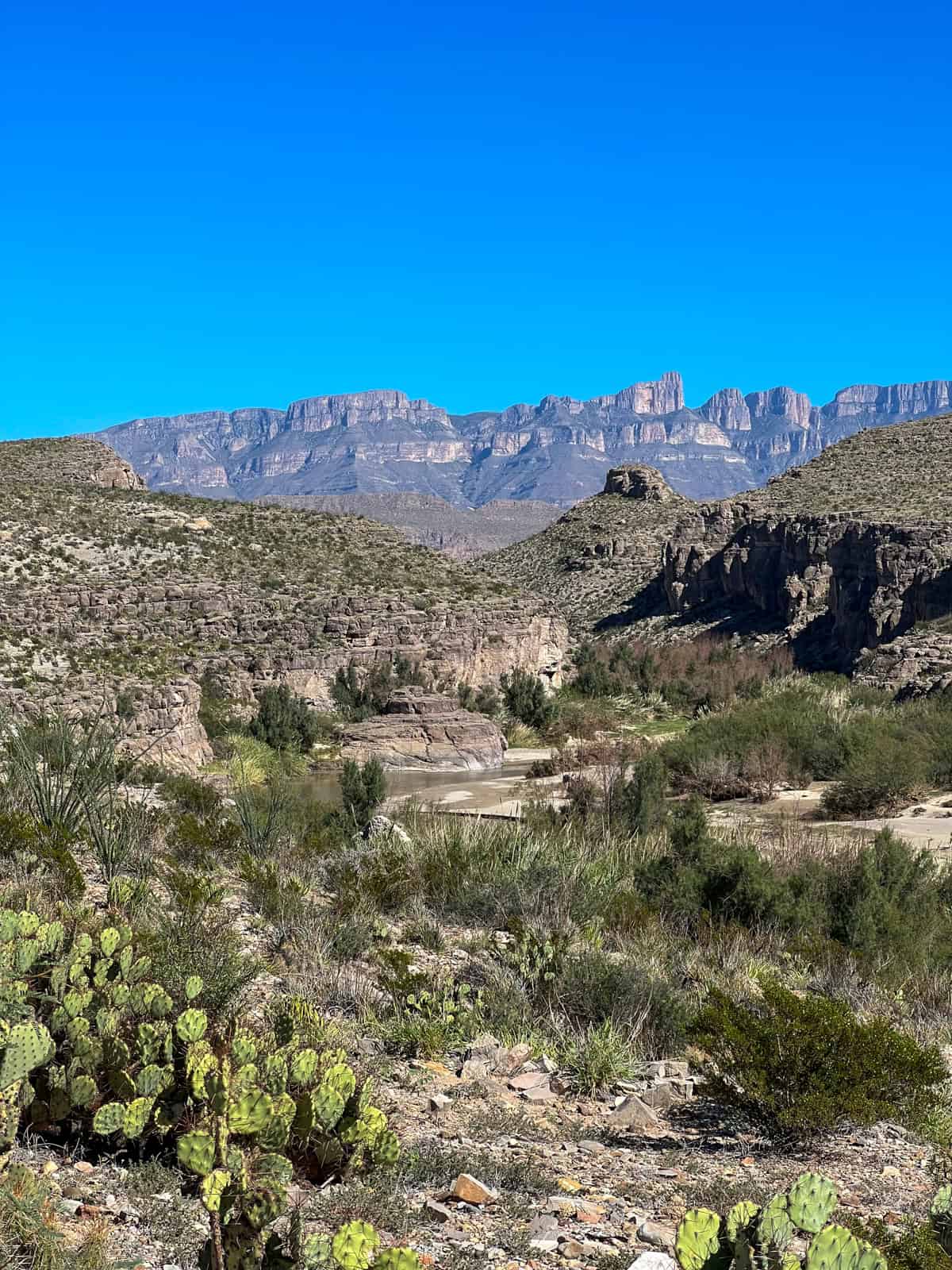 View from trail of mountains in Mexico in the distance.