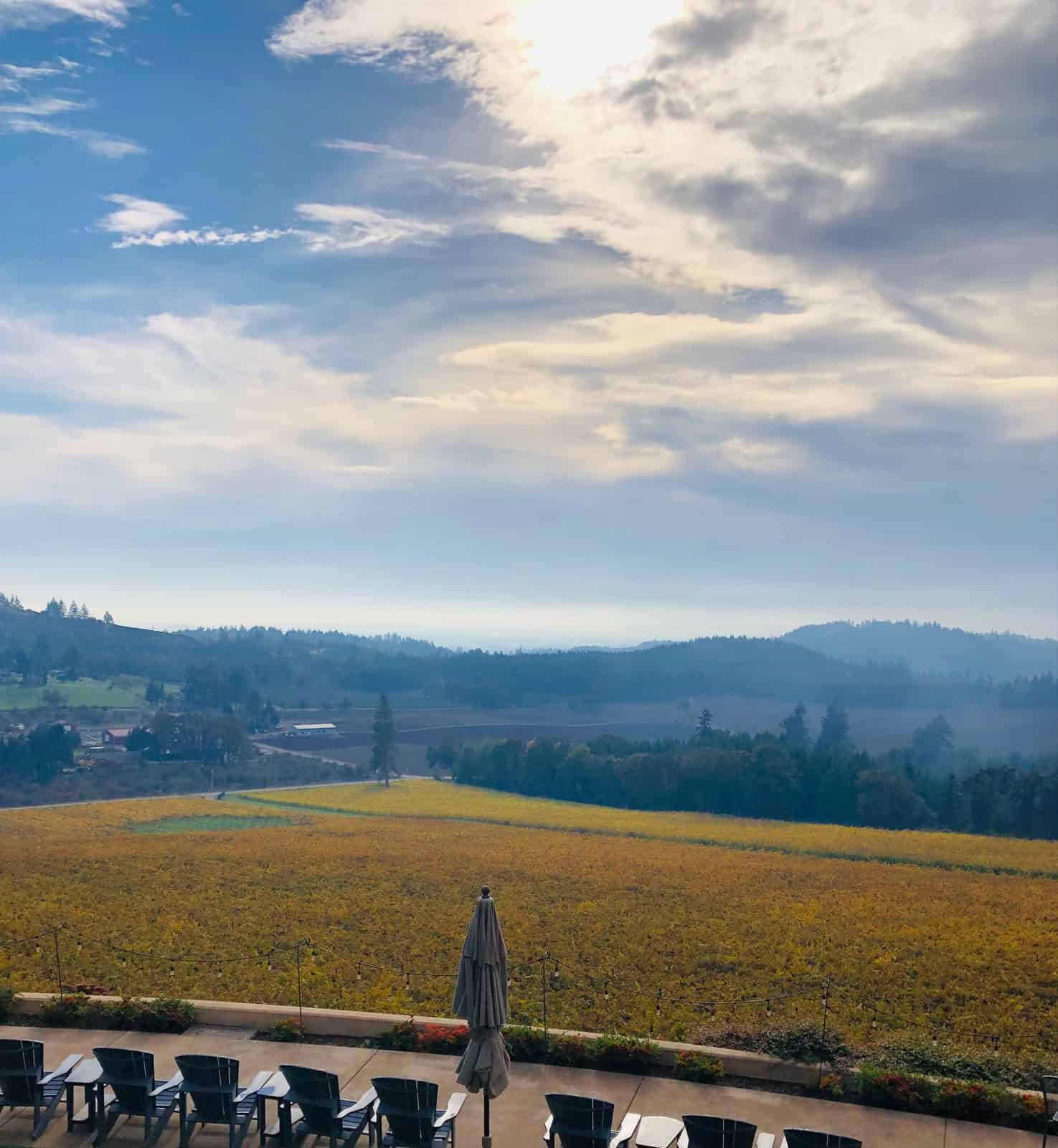 Willamette Valley Vineyards