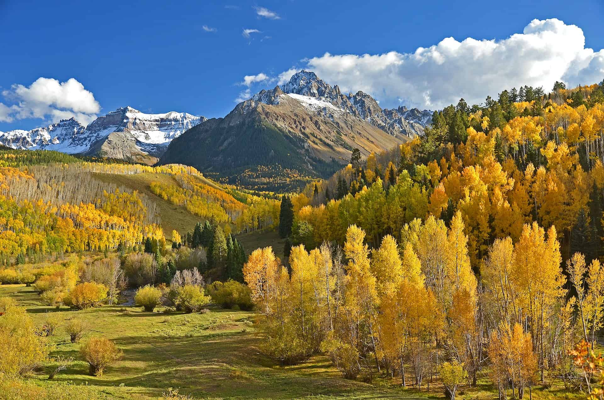 Fall colors in Colorado (photo: Thomas Morse).