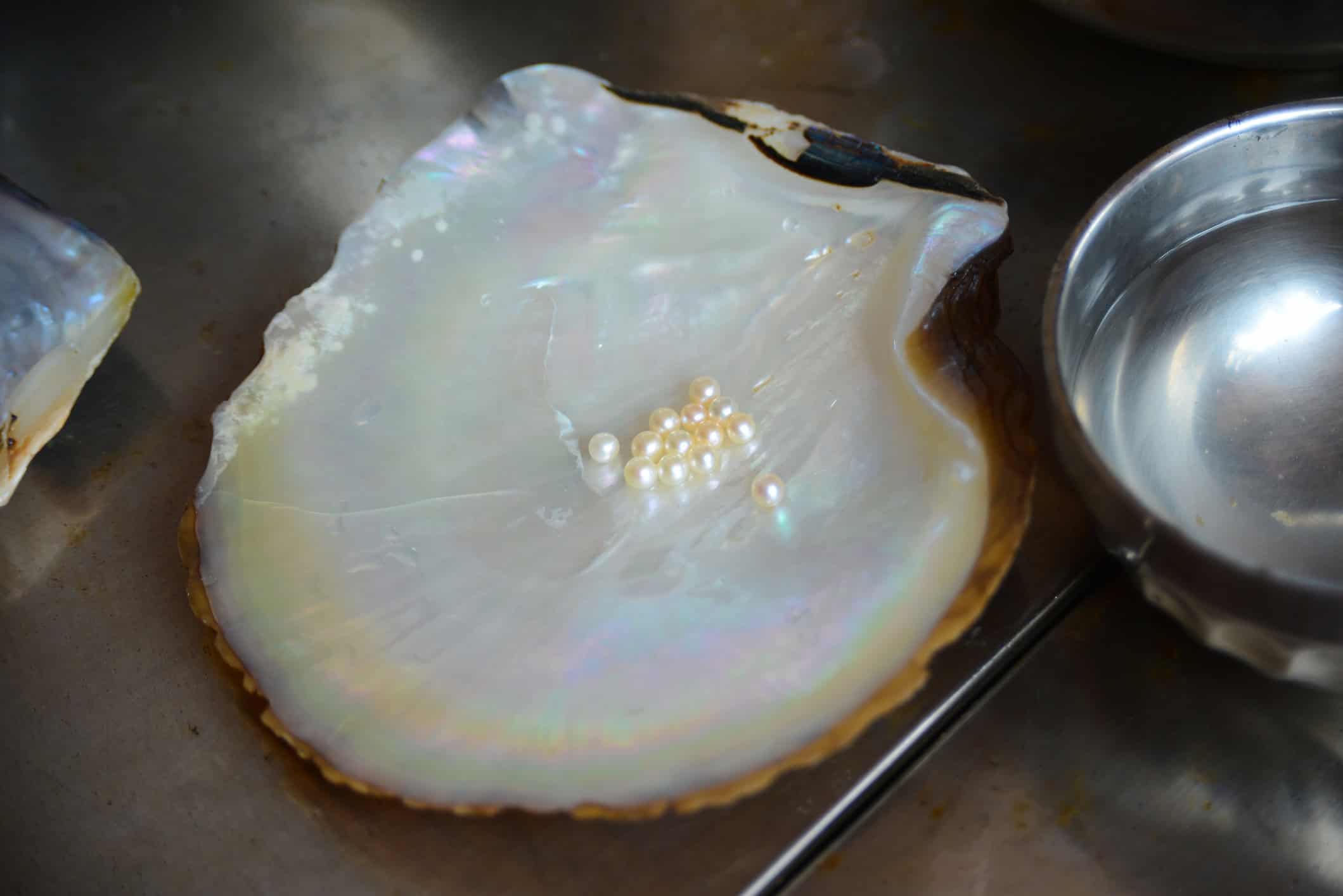 Pearls from Bahrain on an oyster's shell (photo: Steve Tram, iStock license).