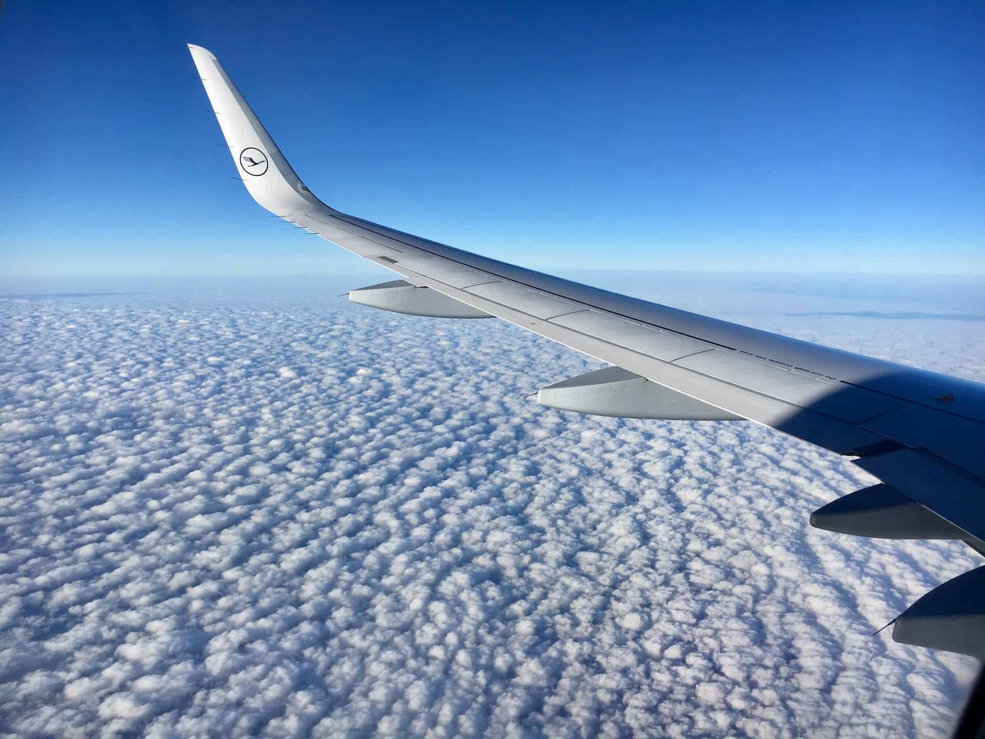 Lufthansa offers business class fares to Germany from the United States (photo: Sergiy Seryogin)