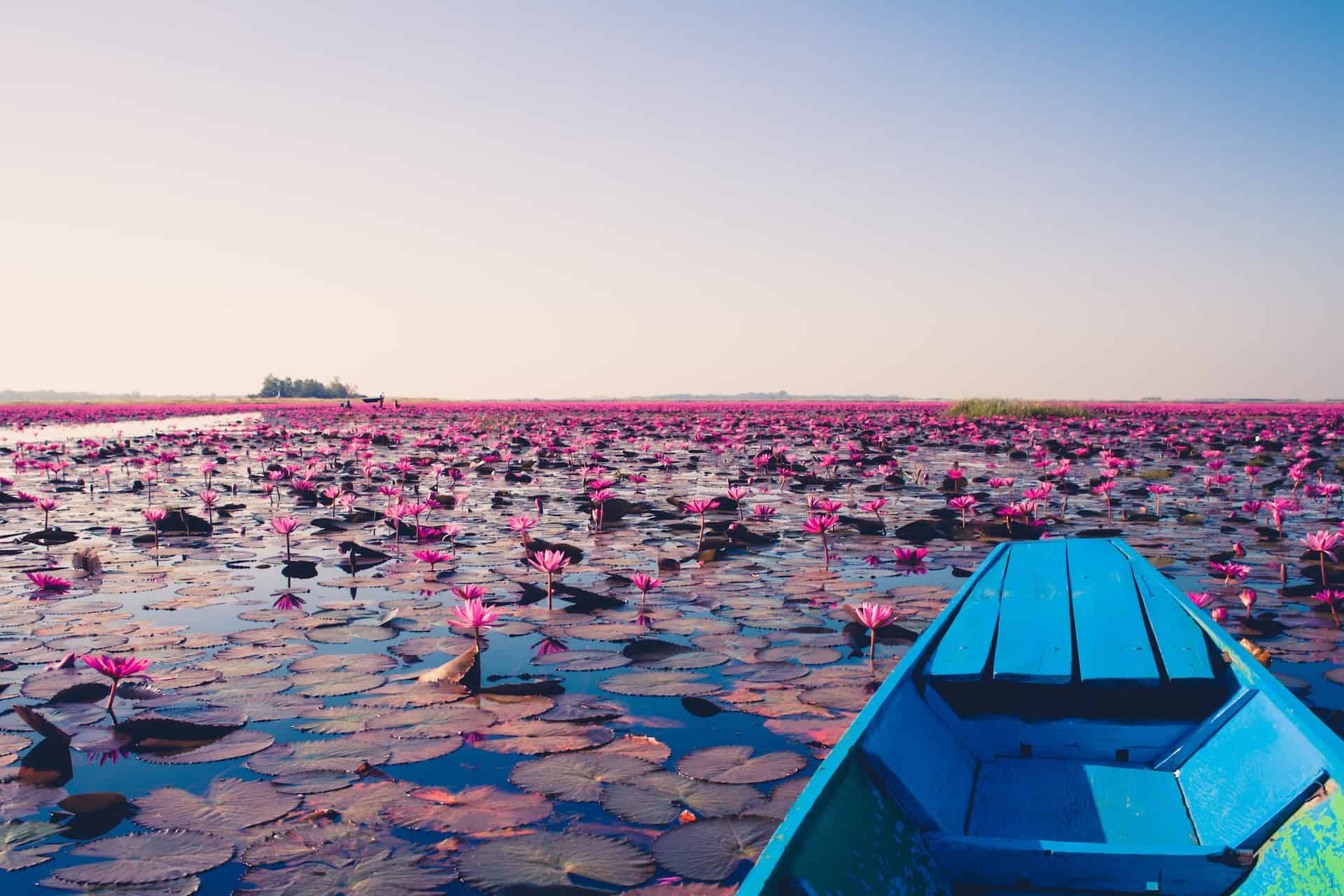 Sunrise on a boat in the Sea of Red Lotuses - Udon Thani, Thailand (photo: Georgios Kaleadis)