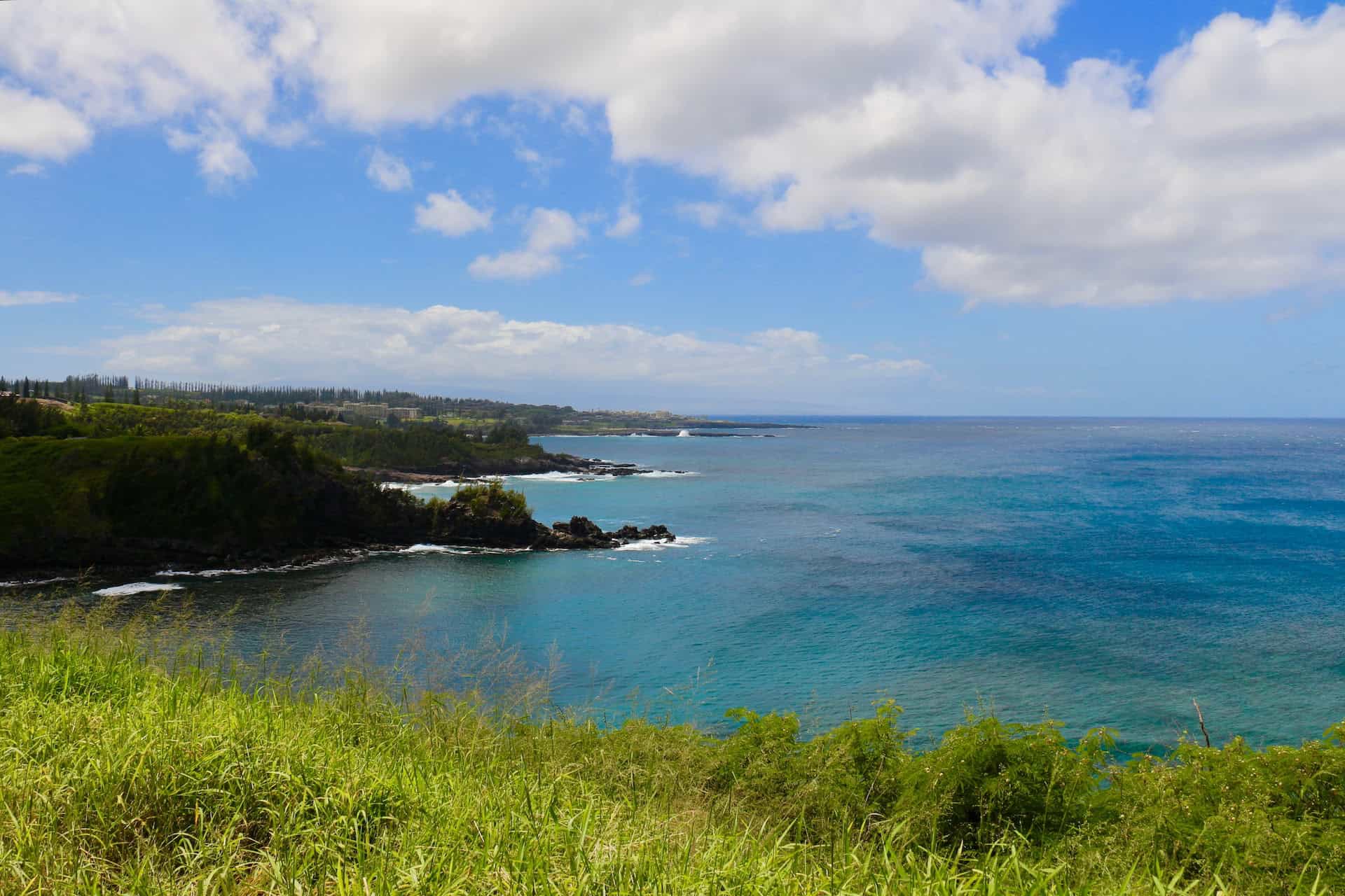 Honolua Bay, Maui (photo: Andrew Bain)