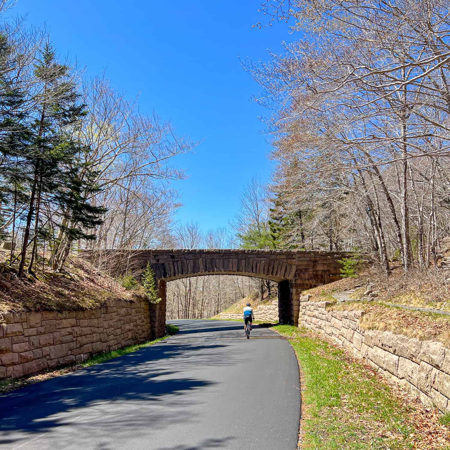 Cycling under a stone bridge on Park Loop Road in Acadia
