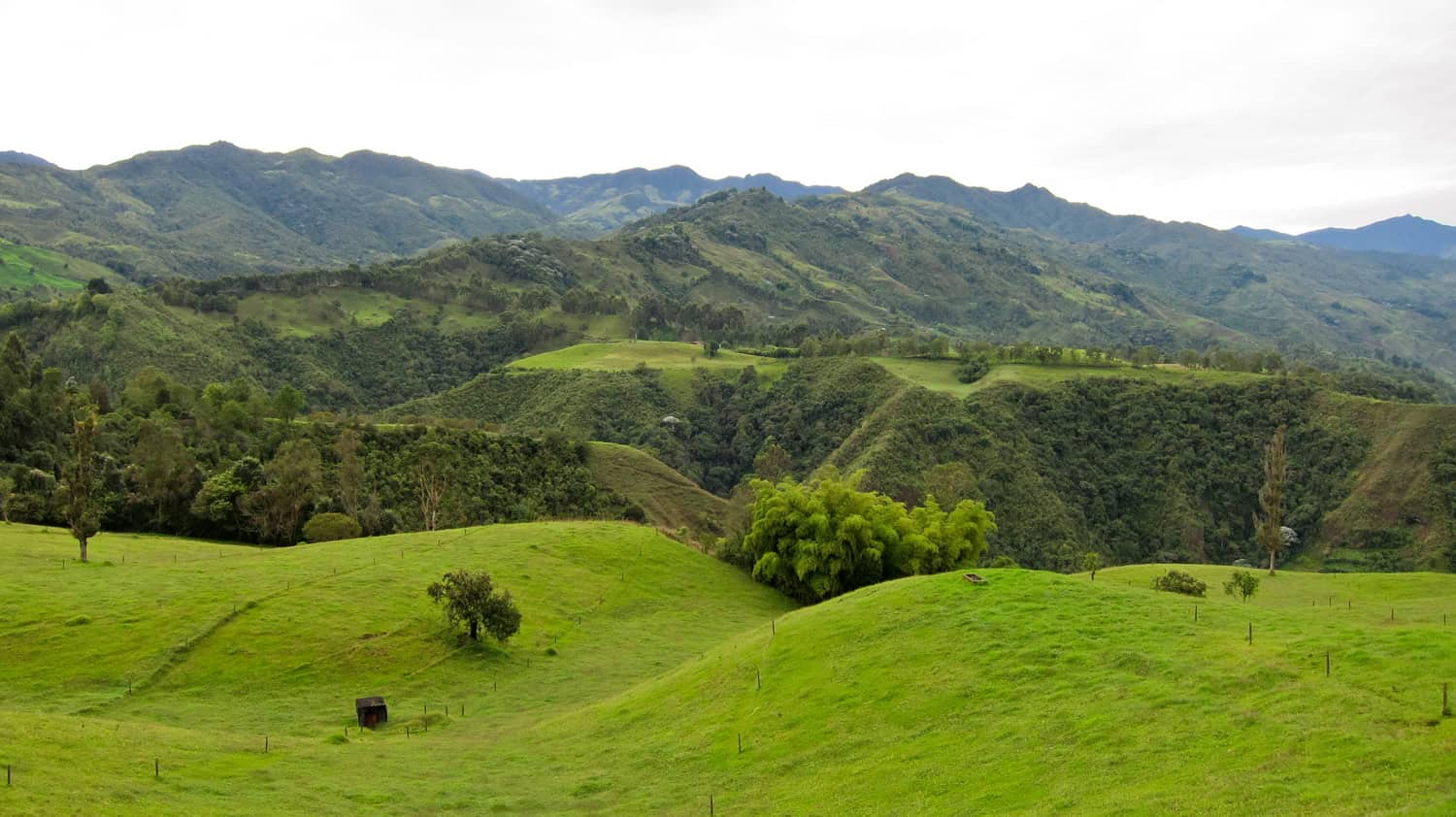 The green landscape around Salento, in Colombia's Coffee Triangle