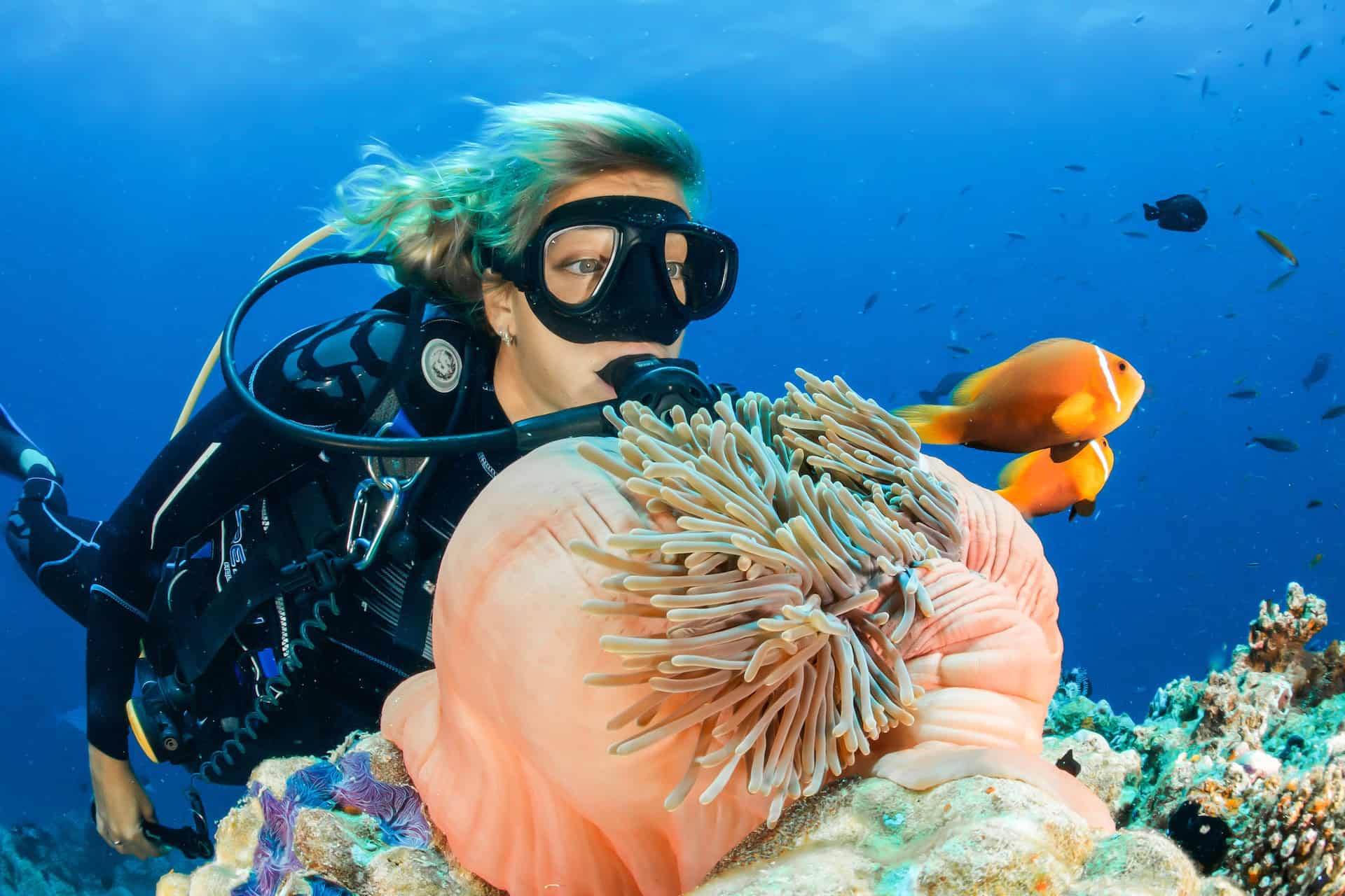 Diving in the Maldives (photo: Sebastian Pena Lambarri)
