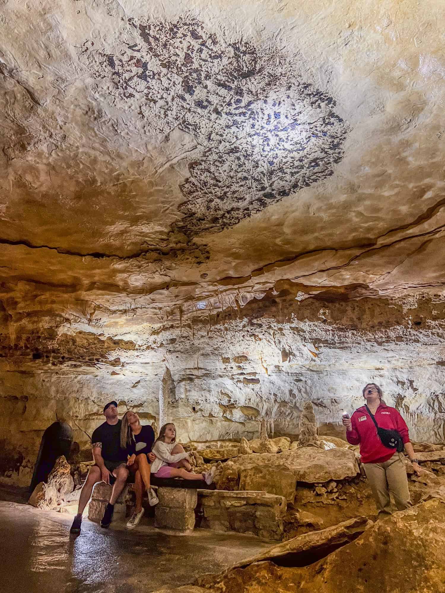 Bat markings on the chamber ceiling at Natural Bridge Caverns