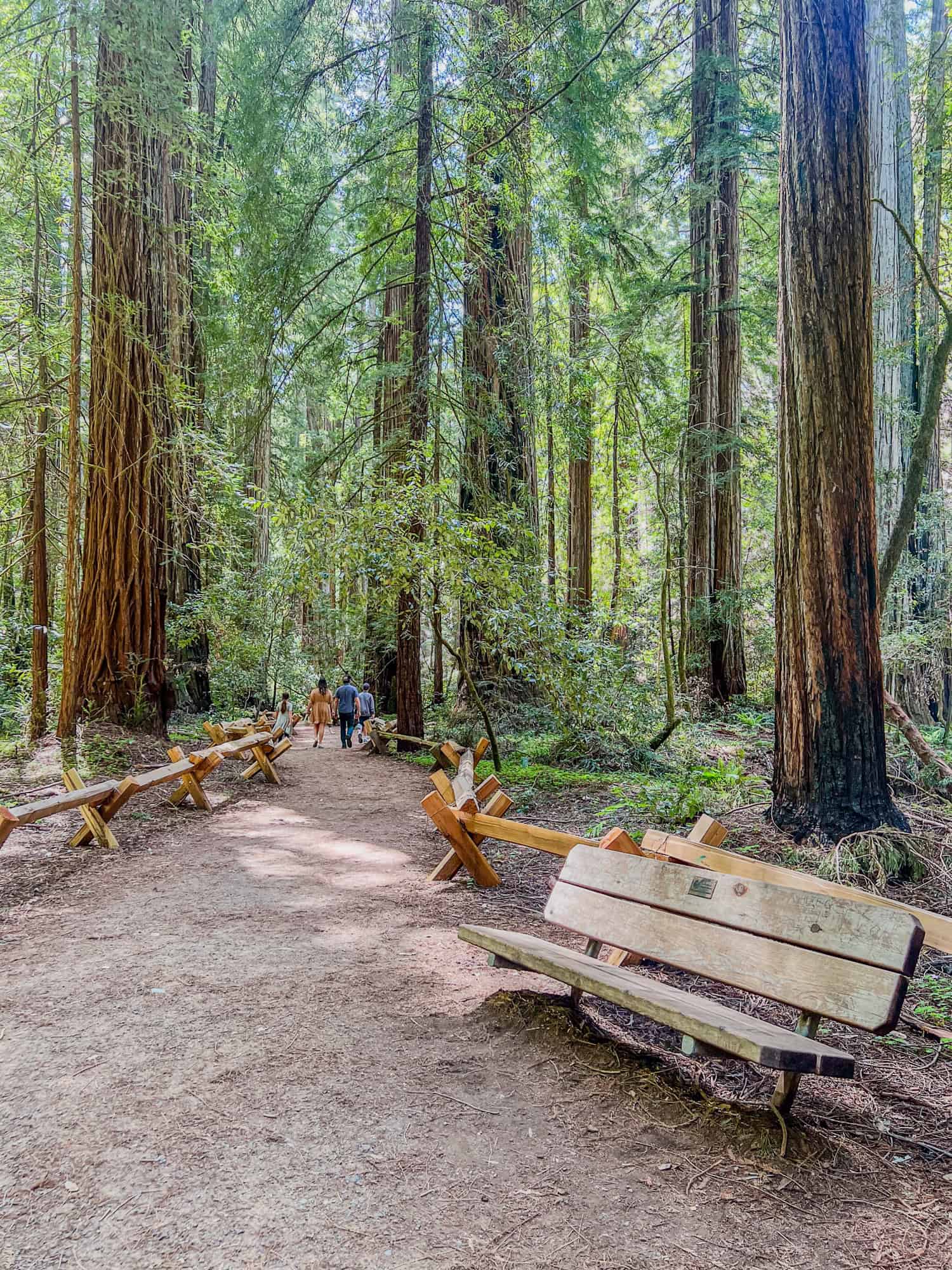 Hiking trail