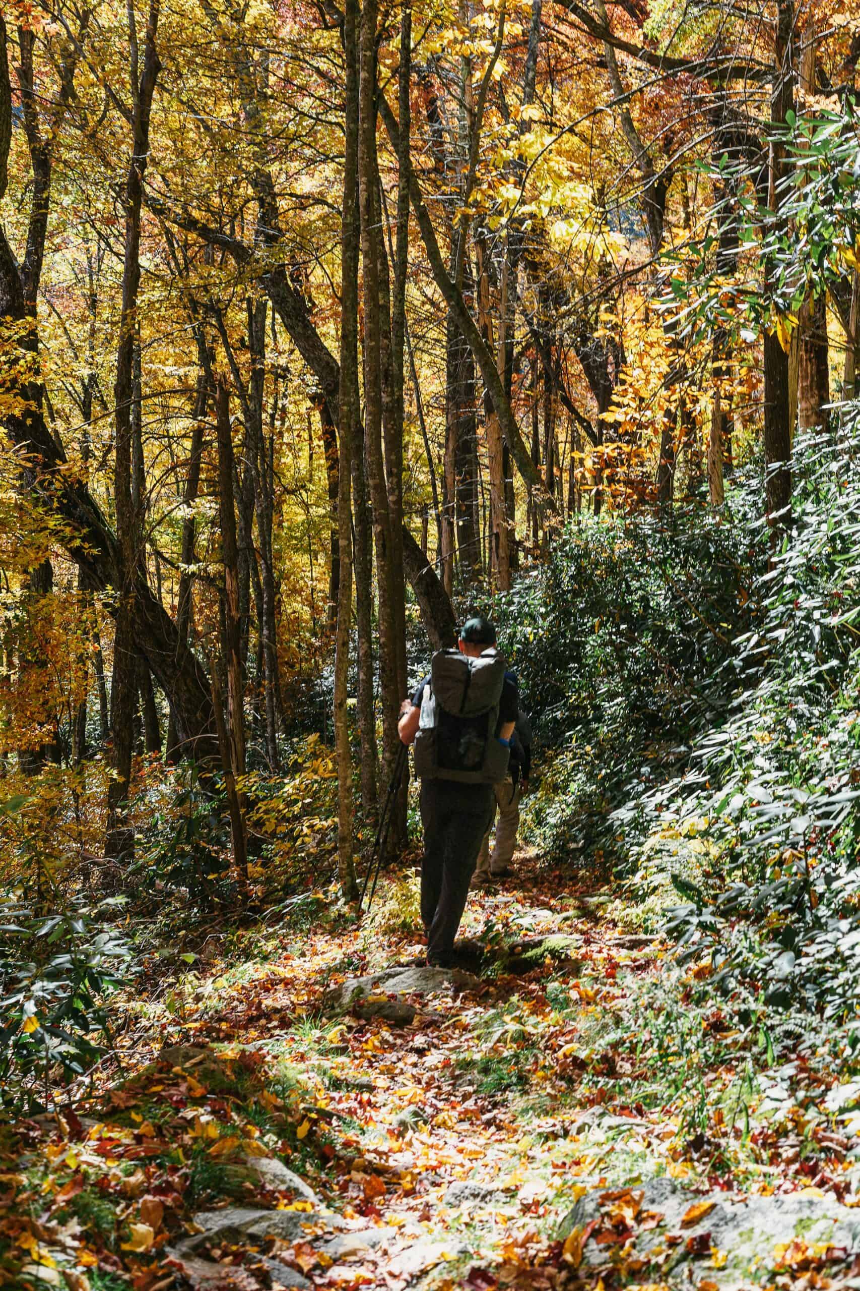 Autumn hiking in the Great Smoky Mountains (photo: Jack Prommel).