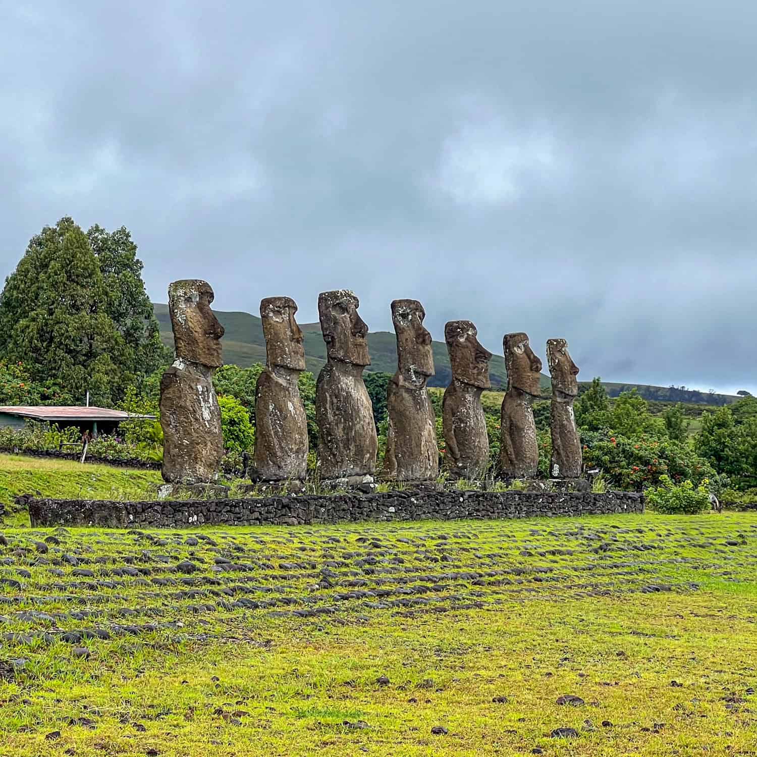 The moai at Ahu Akivi are the only ones on Easter Island who face the Pacific Ocean.