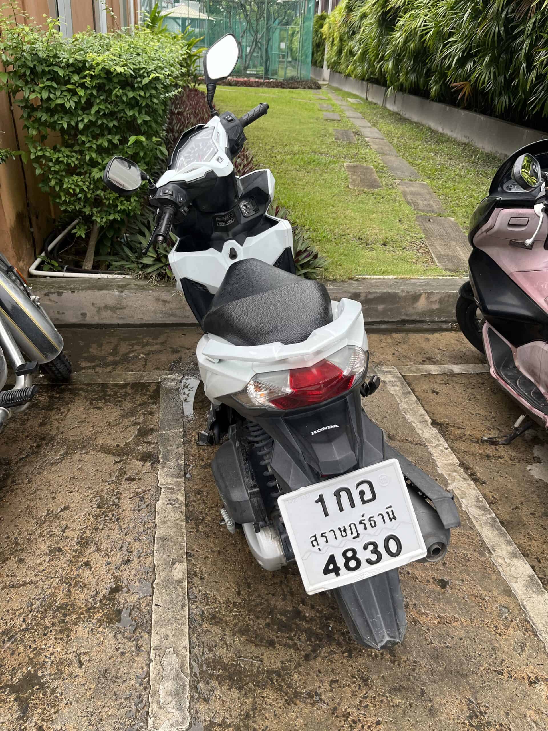 The author's motorbike rental in Thailand.