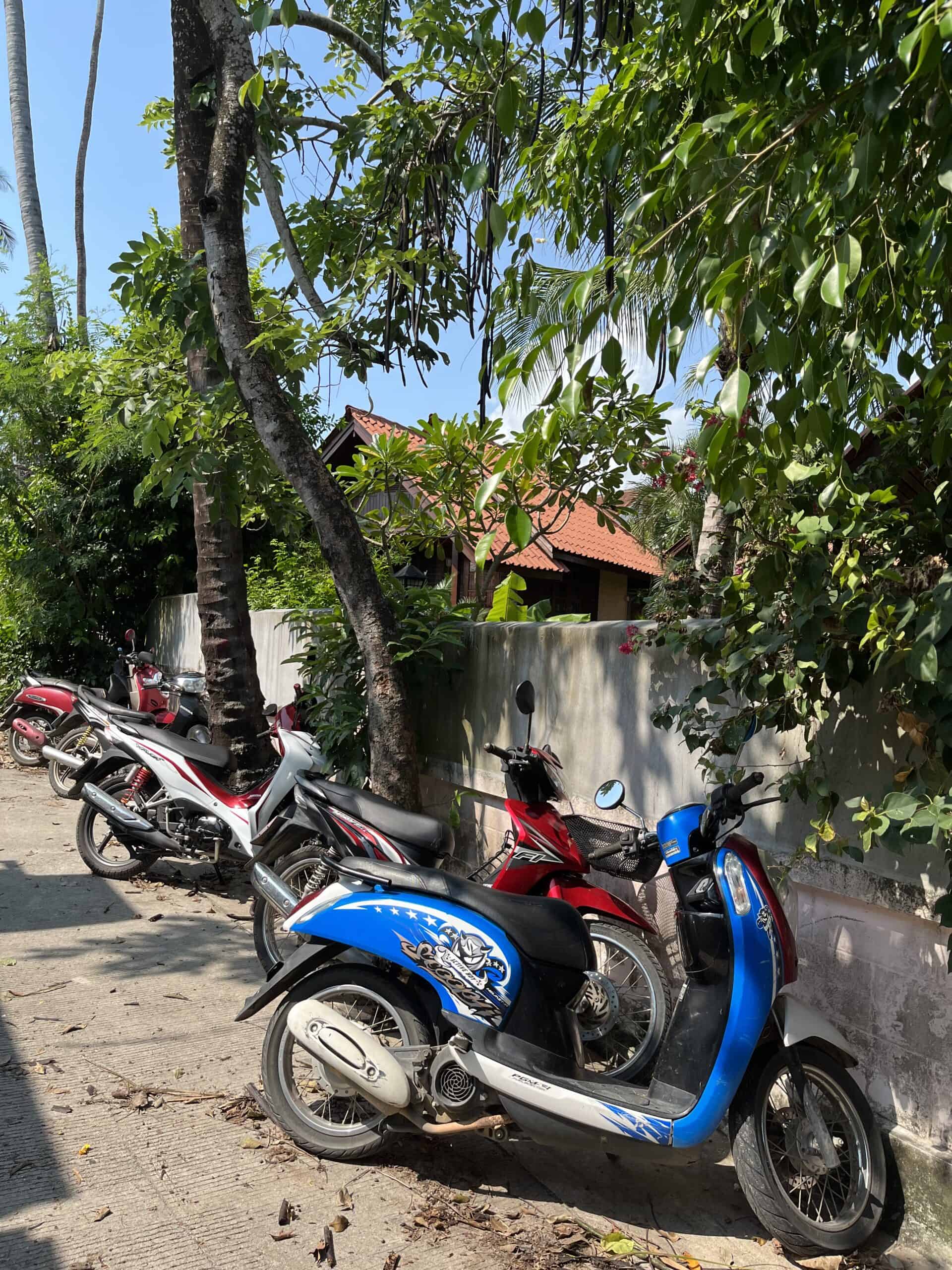 Renting a motorbike in Thailand is a rite of passage for many travelers.