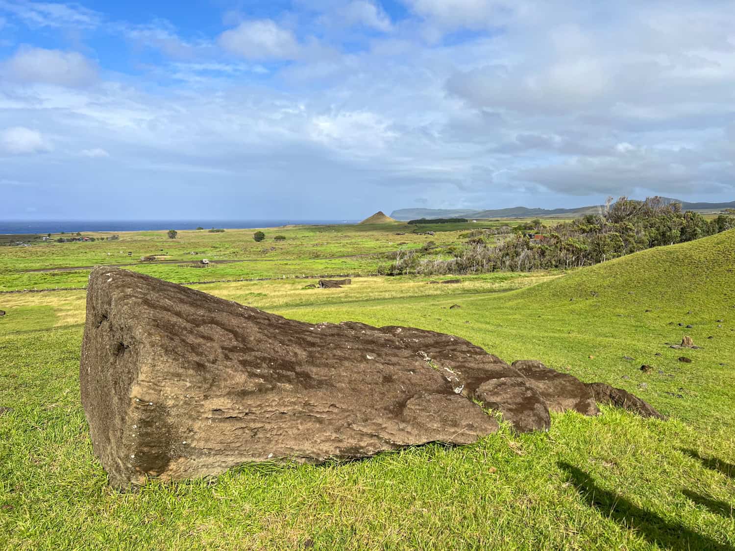 A moai face down in the ground.
