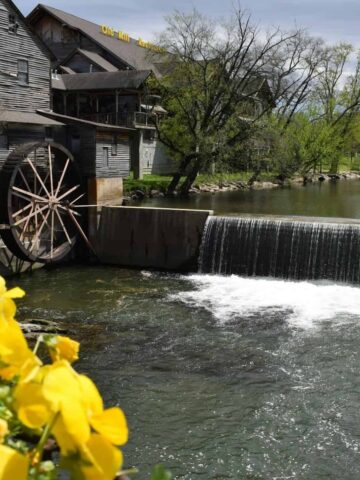 A riverside mill (photo: Eva Varlioglu).