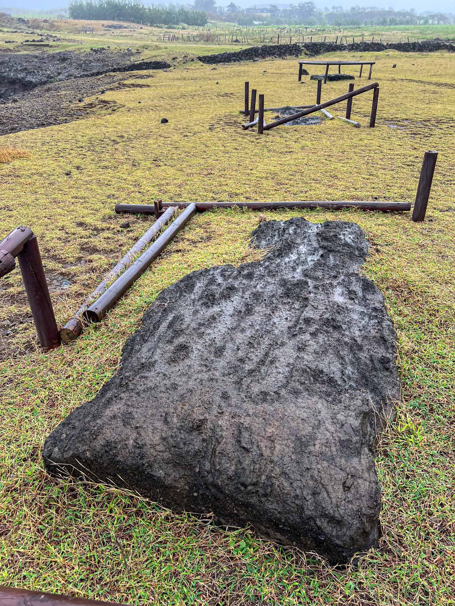 Moai face down at Ahu Hanga Poukura.