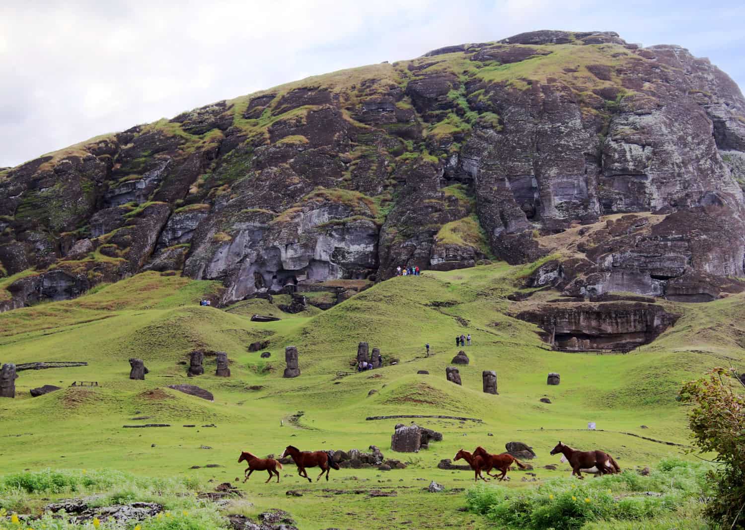 Horses (photo by Kelly Lemons).