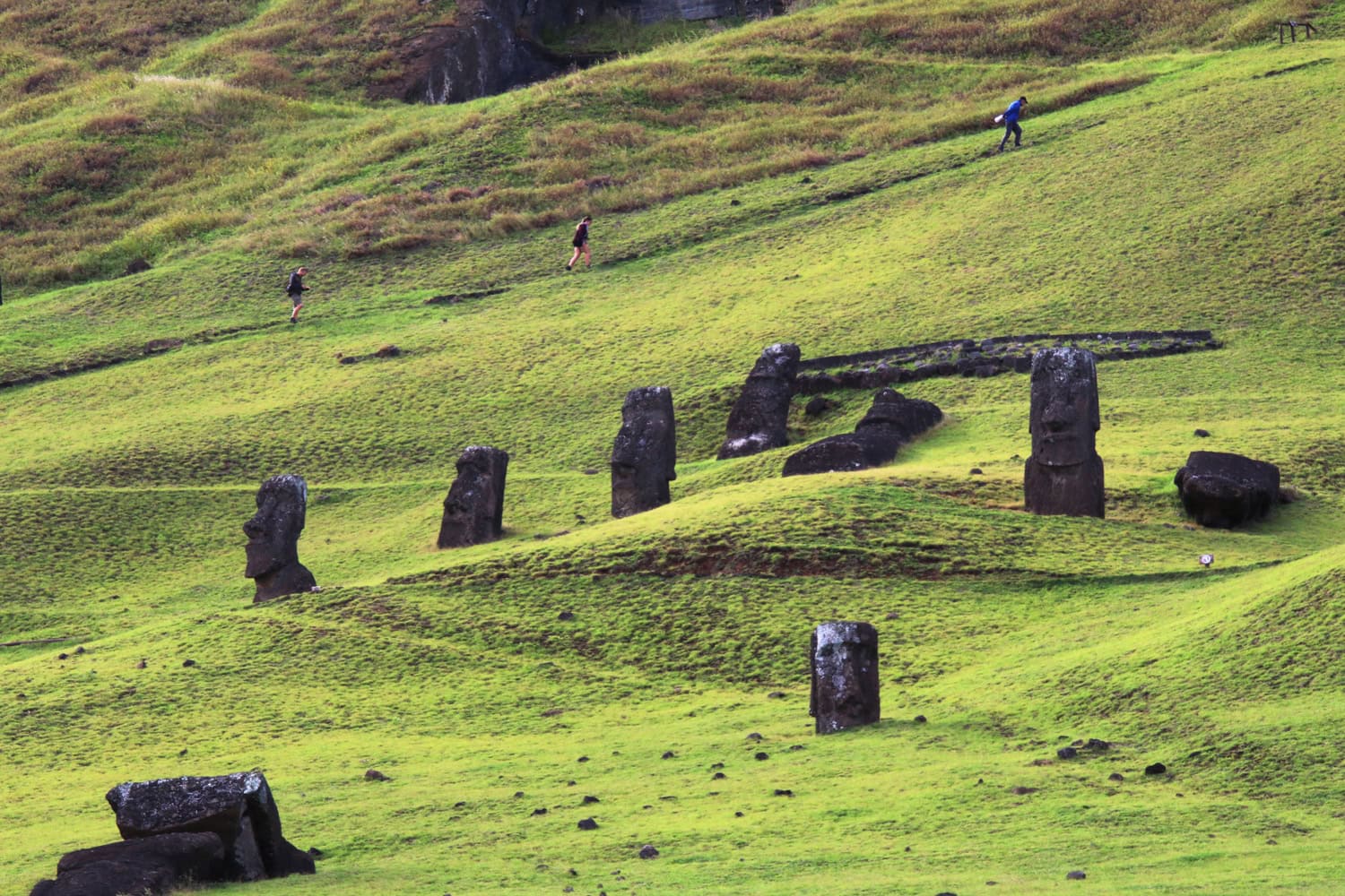 Looking north toward the moai (photo by Kelly Lemons).