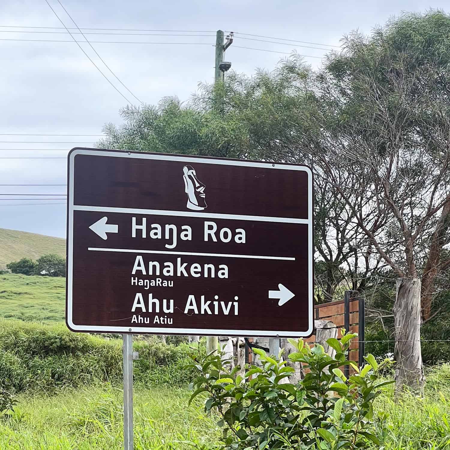 Rapa Nui road sign.
