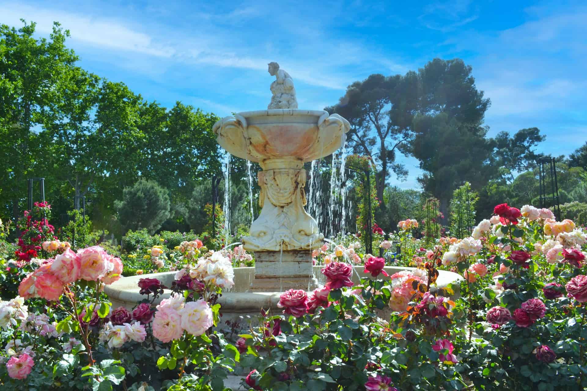 Rose garden and fountain at El Retiro park in Madrid (photo: Jacob Thomas).