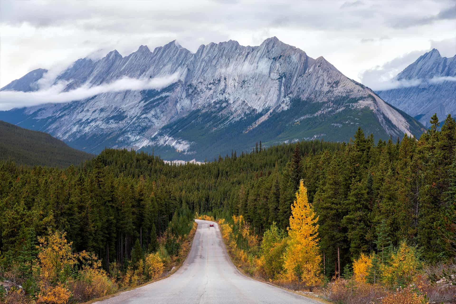 Fall colors in Jasper National Park (photo: Michael Brandt, Unsplash).
