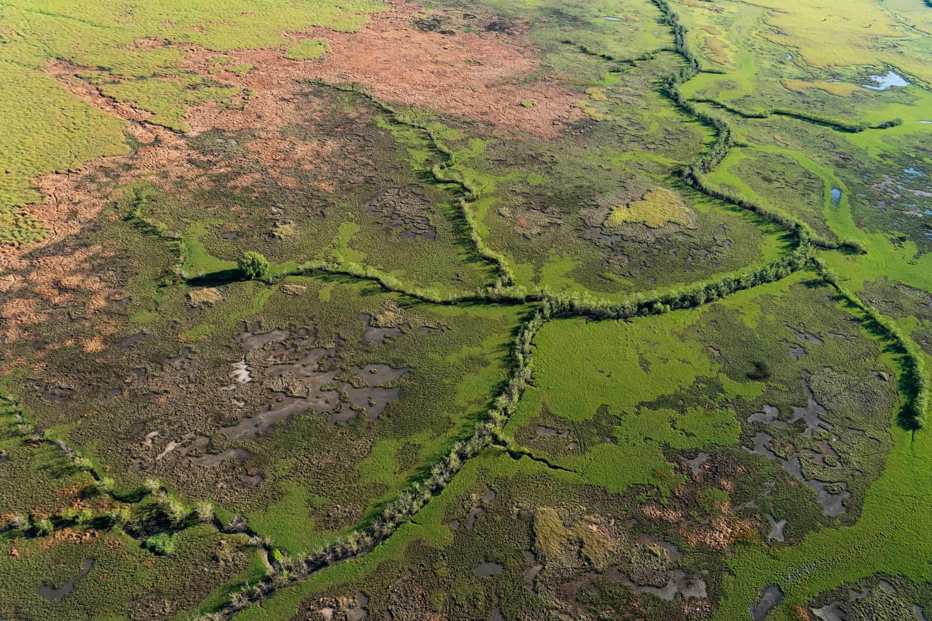 Bird's-eye view of Kakadu National Park as it transitions from wet to dry season (photo: Rod Long, Unsplash).