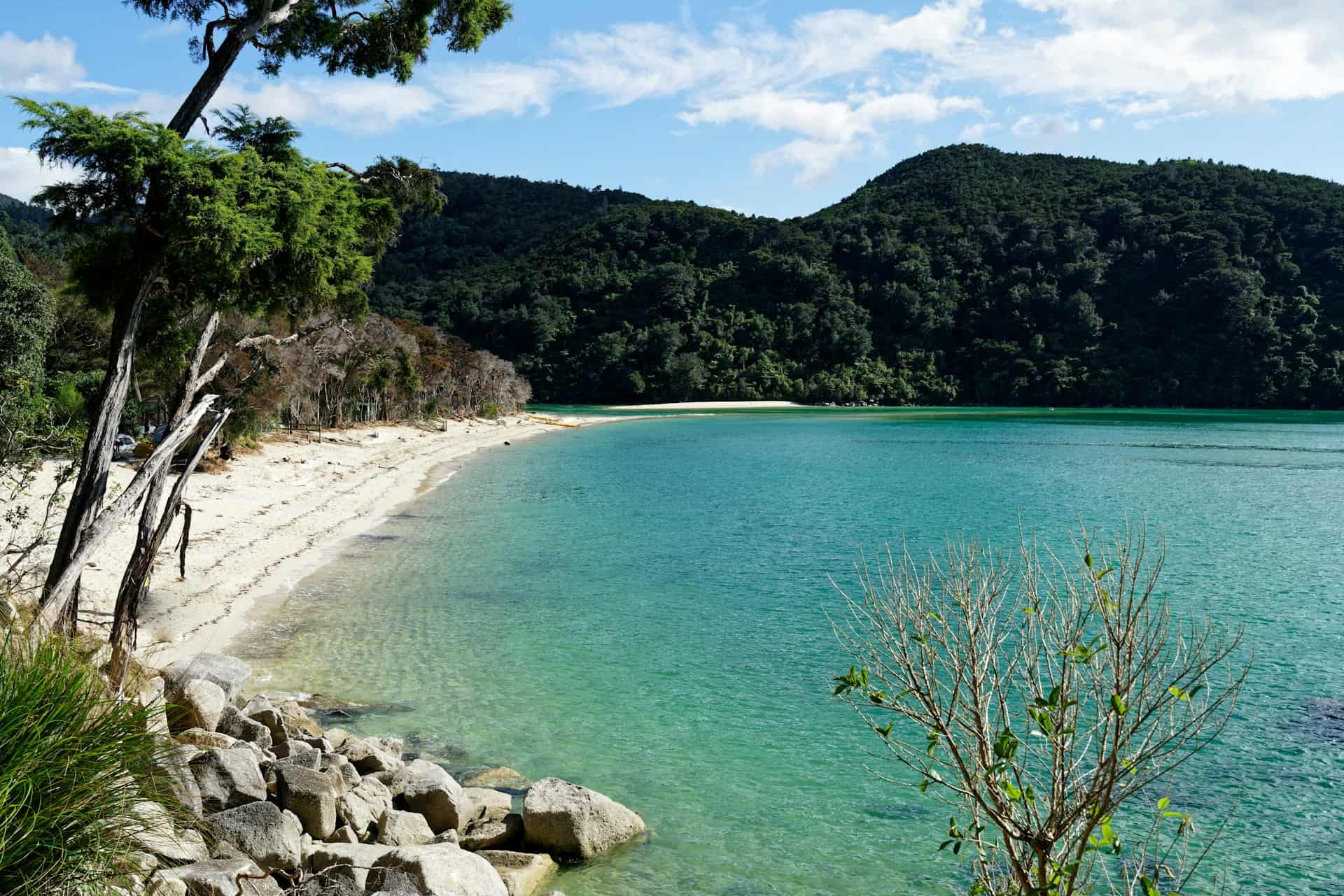 A pretty beach in Abel Tasman National Park, location of one of the best hiking trails in New Zealand  (photo: Colin Watts, Unsplash).