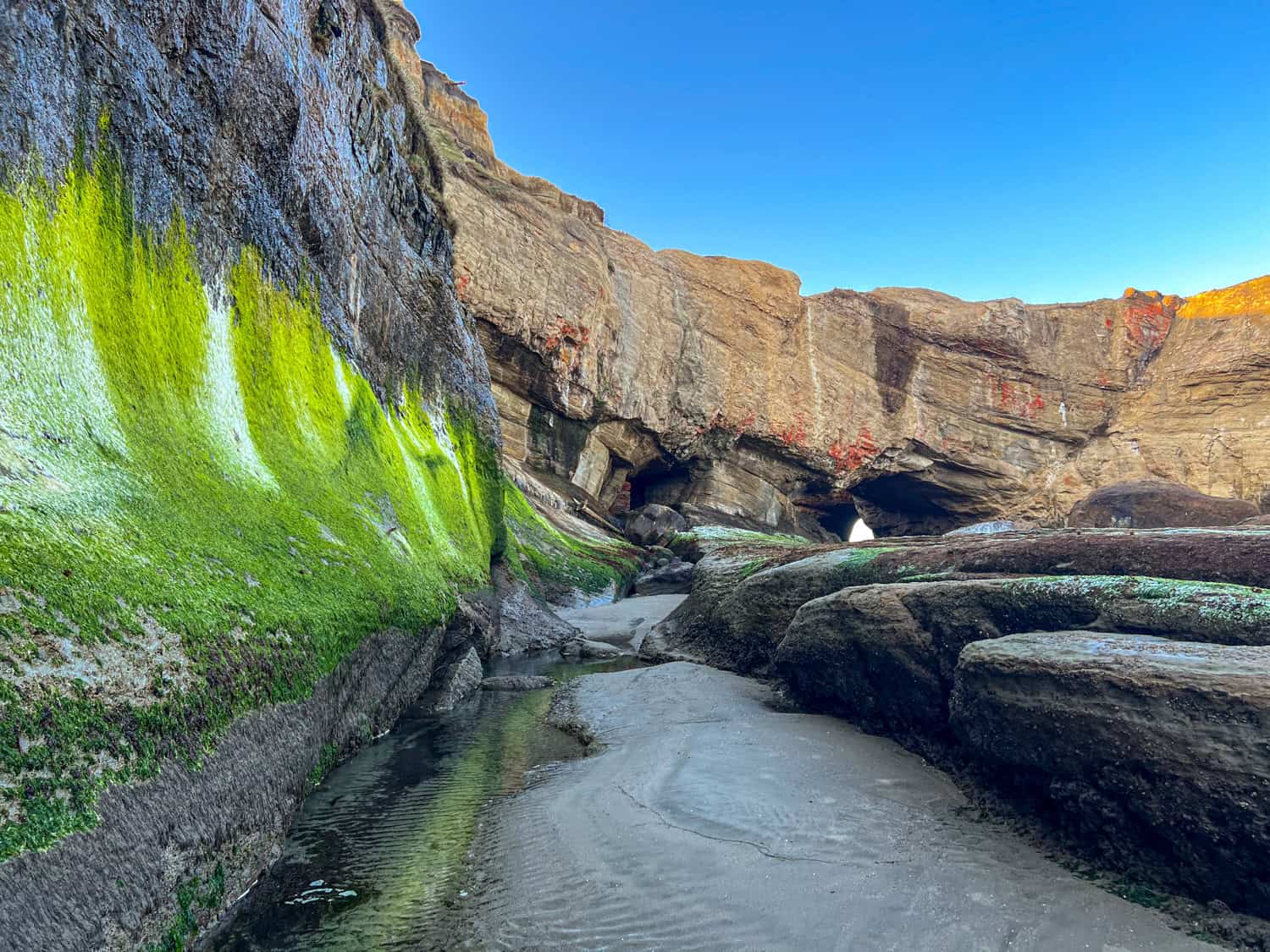 Green moss marks the waterline at Devils Punchbowl State Natural Area.