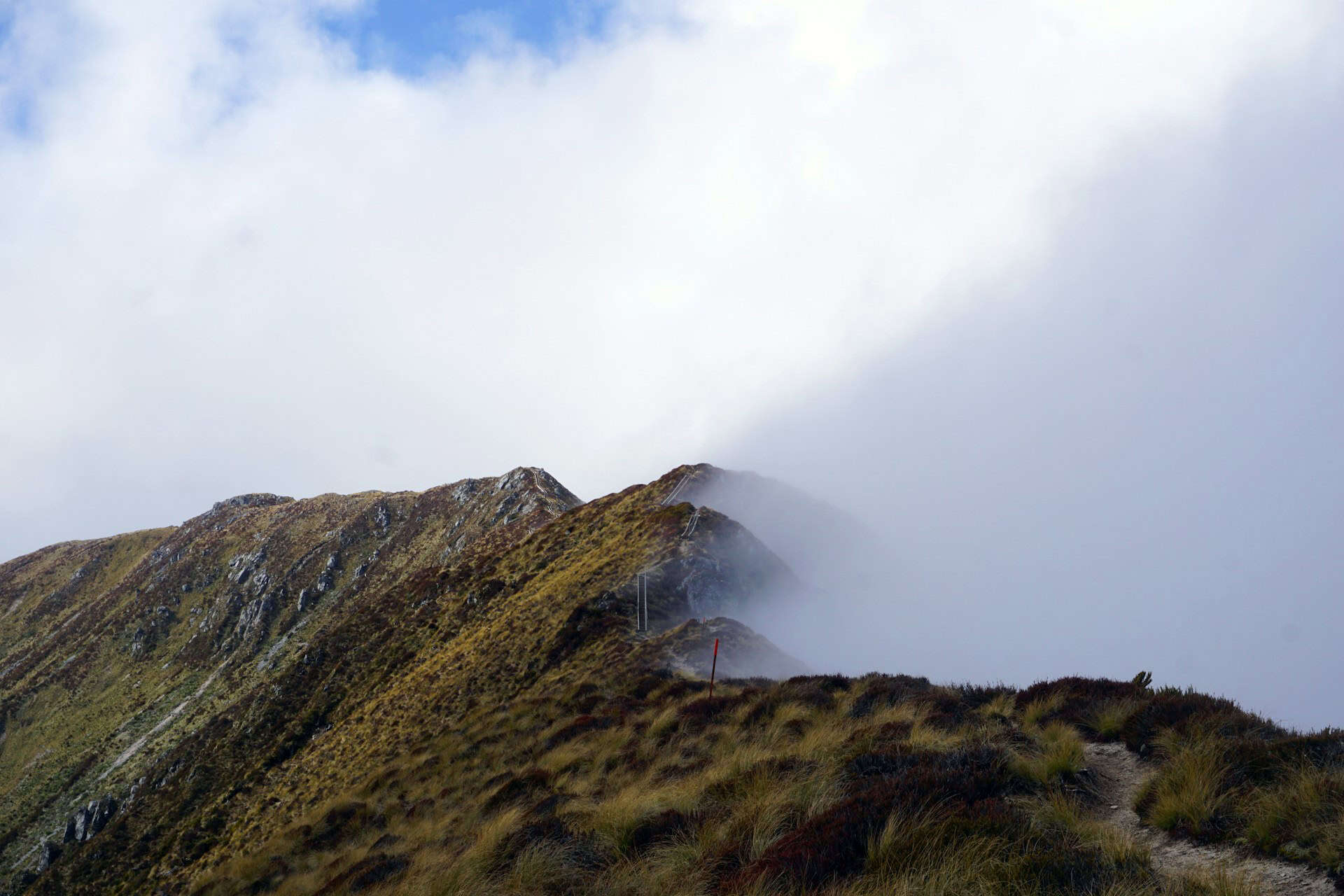Ridgeline on the Kepler Track in New Zealand (photo: Petrina Darrah, Unsplash).