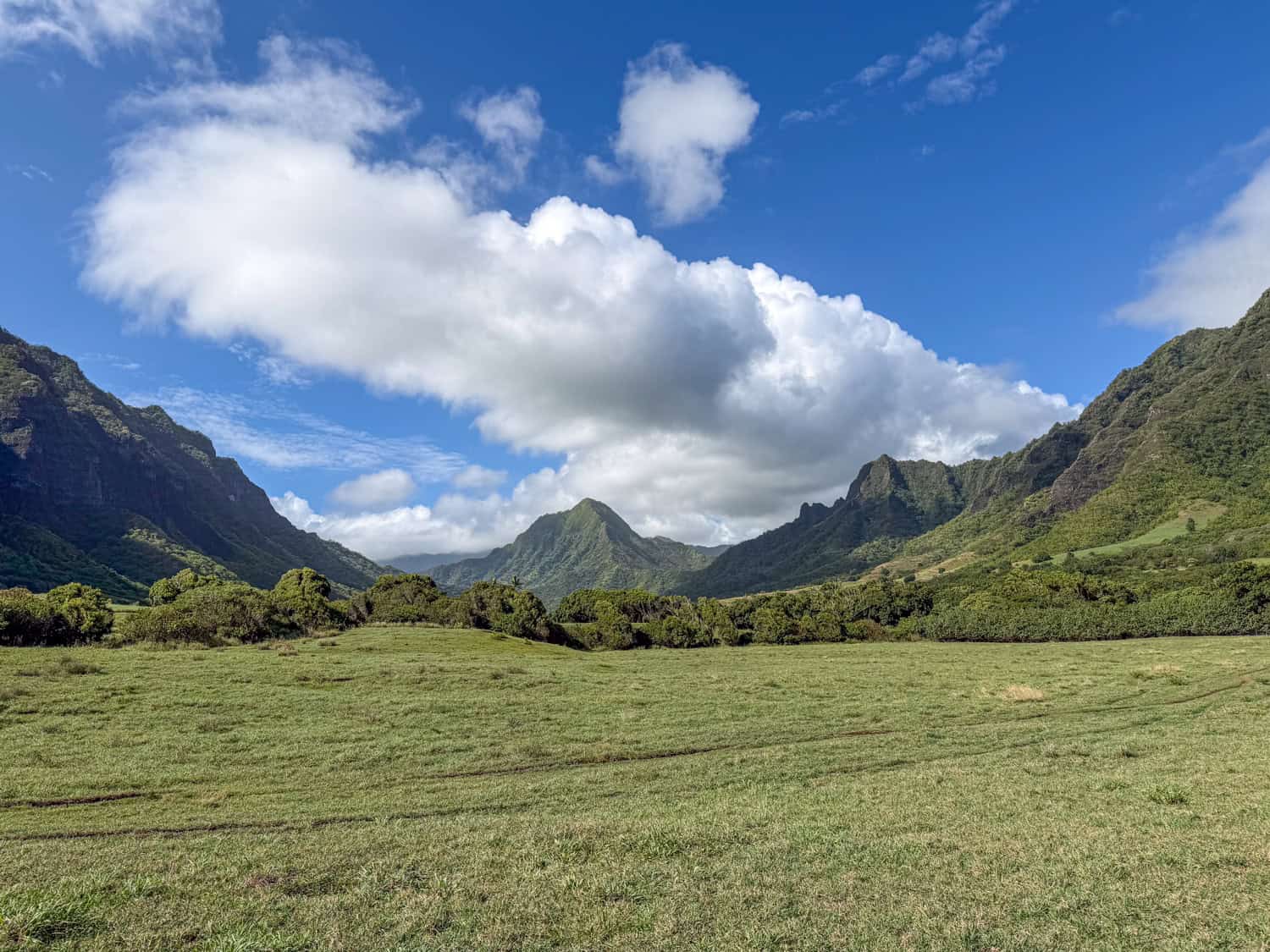 Ka'a'awa Valley (aka Jurassic Valley) at the Kualoa Ranch on Oahu.