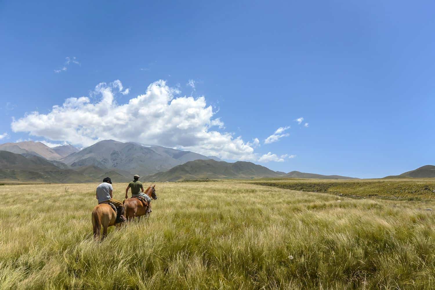 Horseback riding in Mendoza, Argentina (photo: Ricardo Duarte, Pexels).