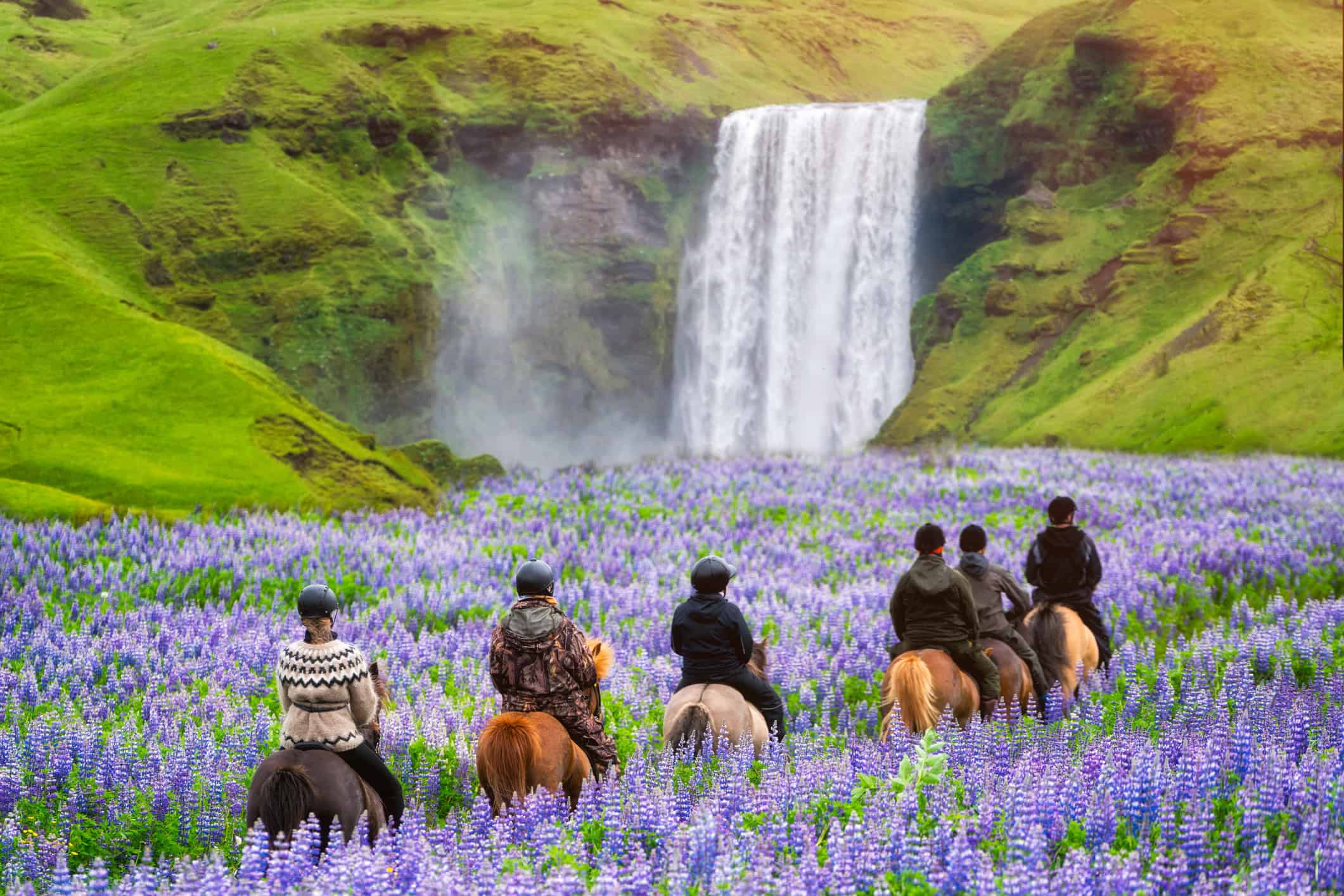 Horseback riding tour at Skogafoss Waterfall in Iceland (photo: Blue Planet Studio, iStock).