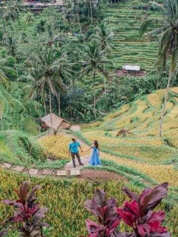 Travelers walking through rice terraces in Bali showcasing sustainable agriculture and local culture