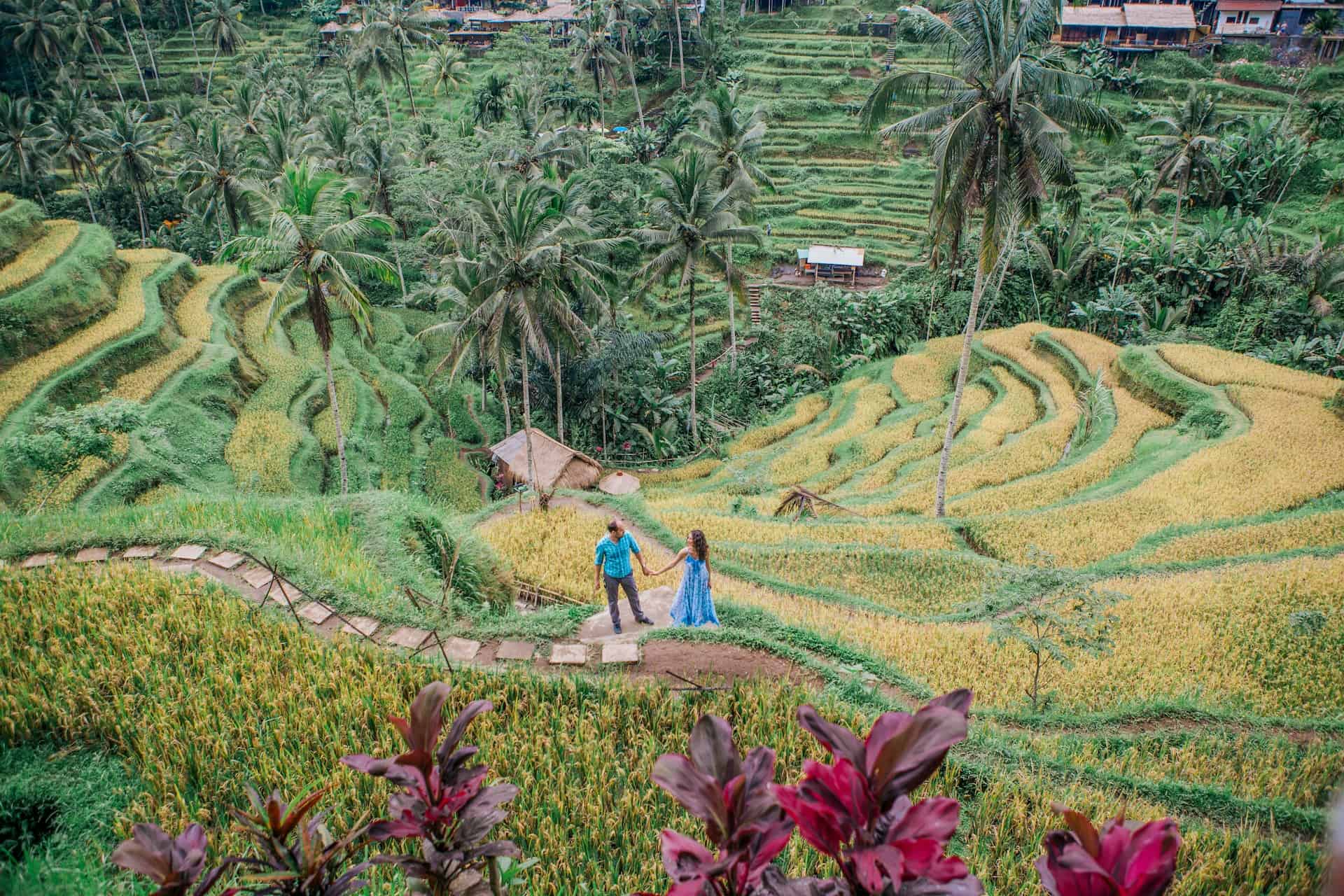 Bali's rice terraces reflect the shift toward sustainable tourism and responsible travel