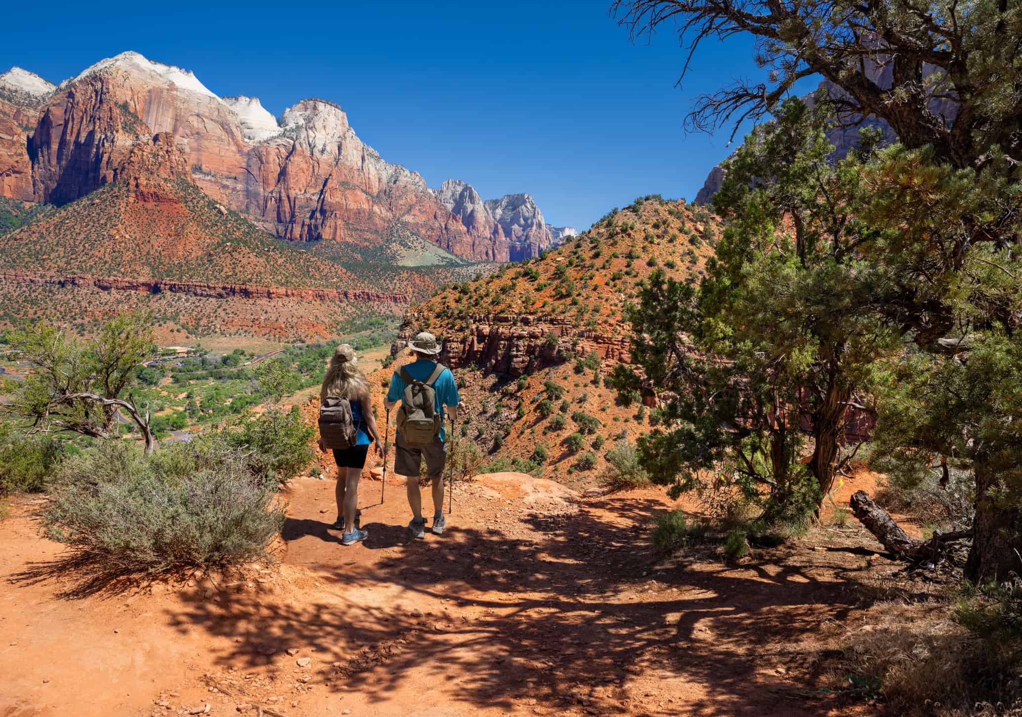Hikers walking along a scenic trail in Zion National Park
