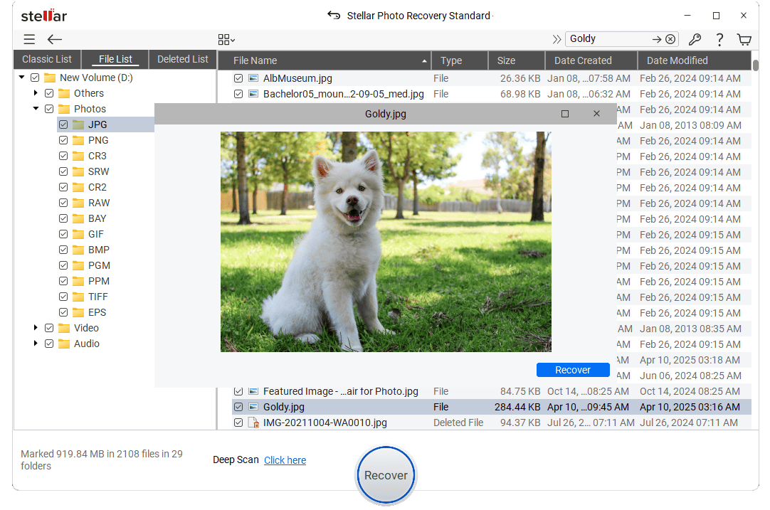 Stellar Photo Recovery software