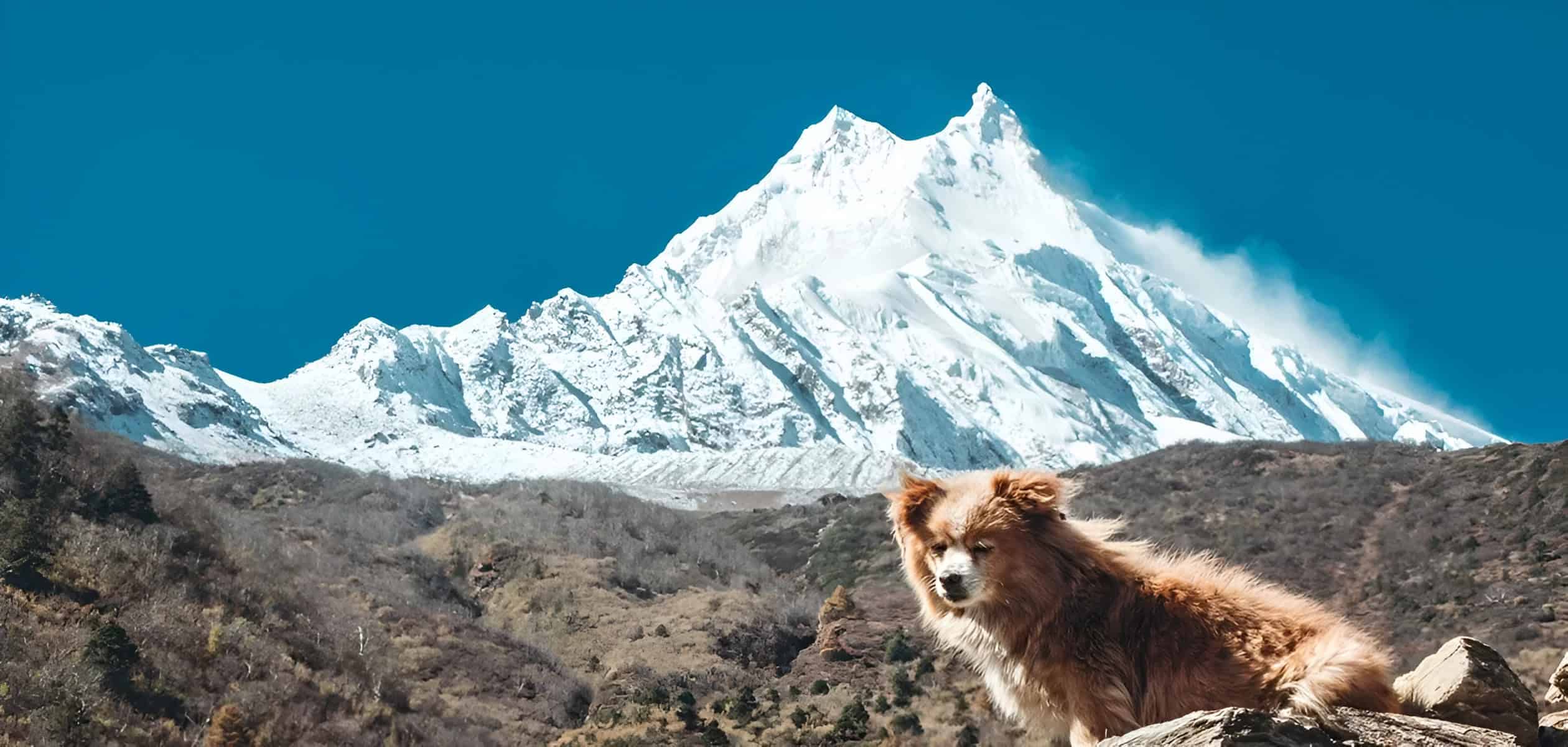 Mount Manaslu and surrounding Himalayan scenery in Nepal.