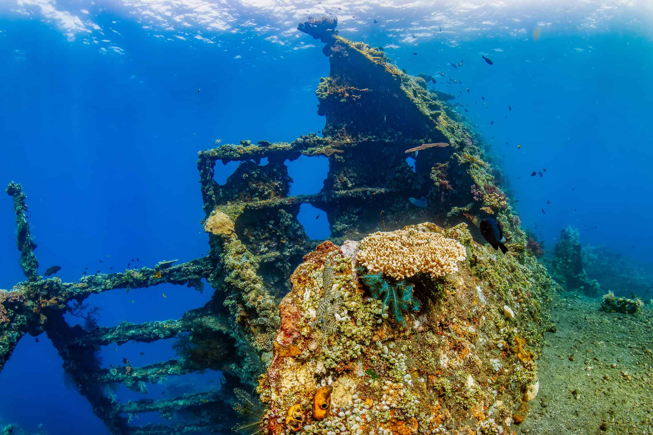 The coral-covered USAT Liberty shipwreck at Tulamben, one of Bali's most popular dive sites.