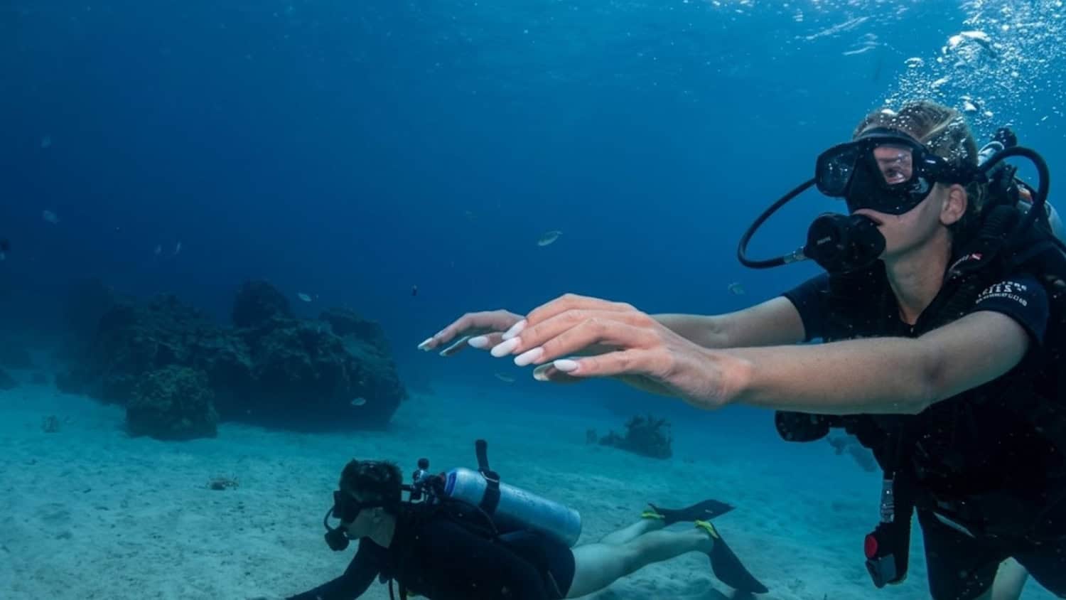 Two scuba divers practicing buoyancy control above a sandy seabed in Koh Tao.